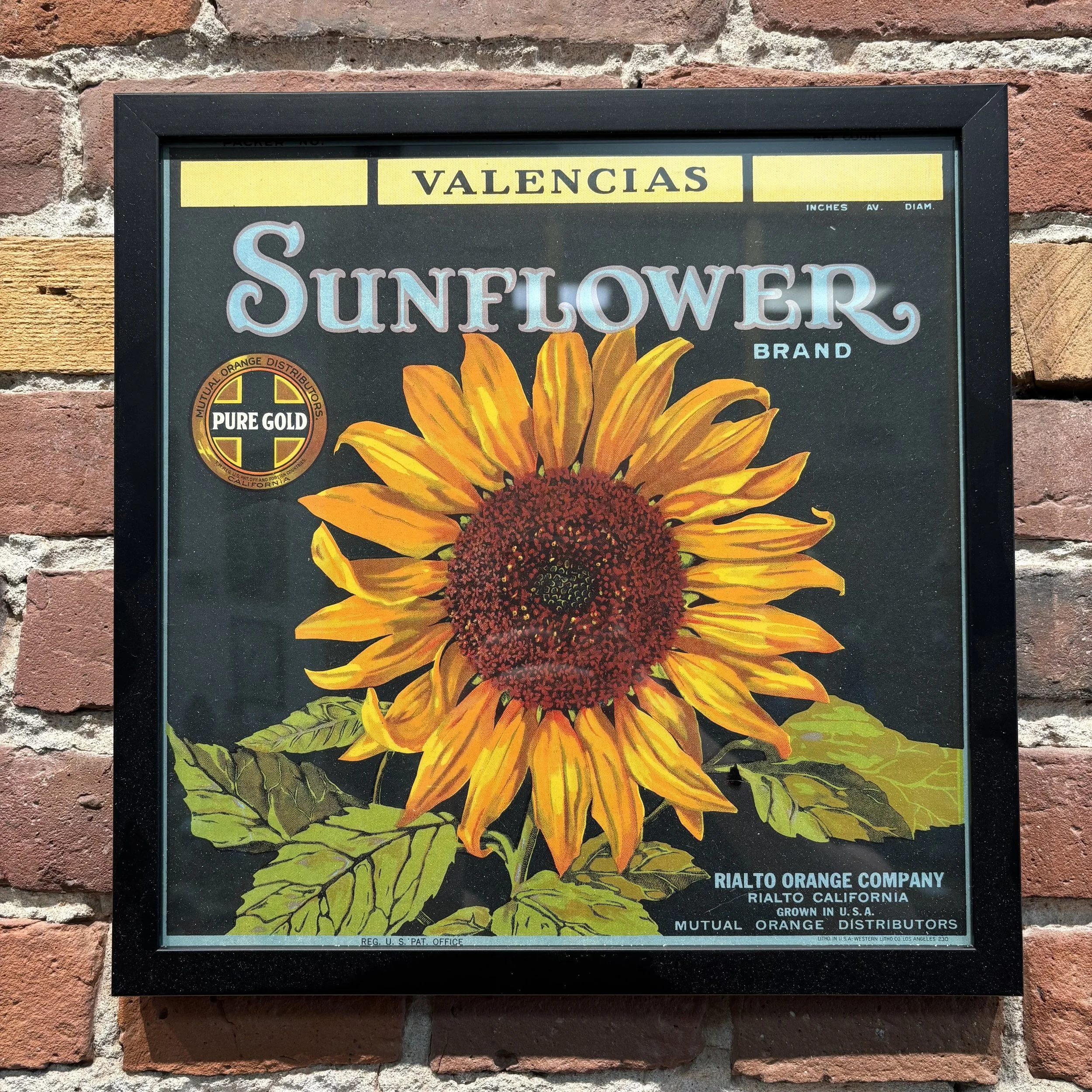 Sunflower Brand Orange Label