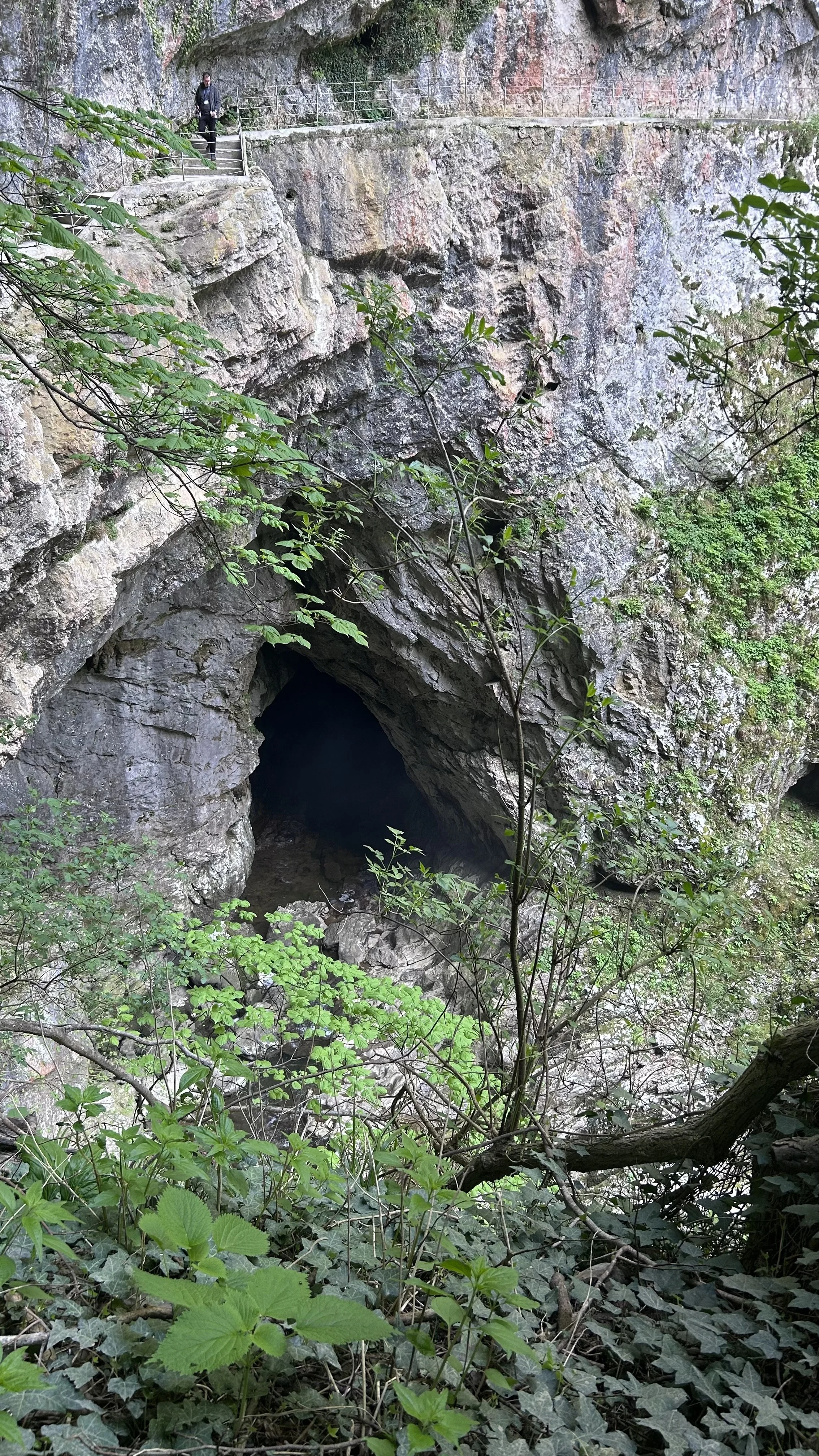 The Exit of Škocjan Caves