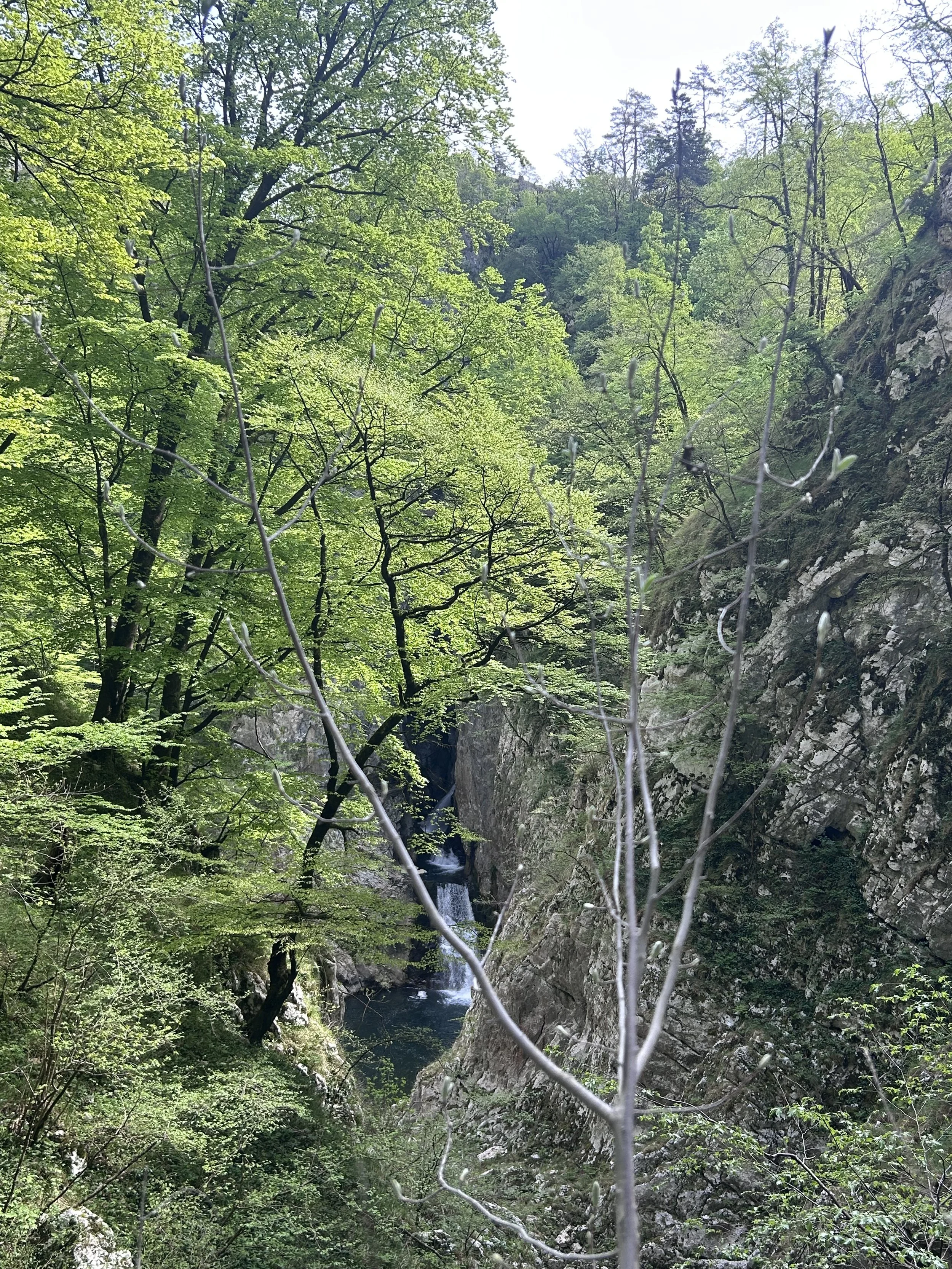 The Valley Beyond Škocjan Caves