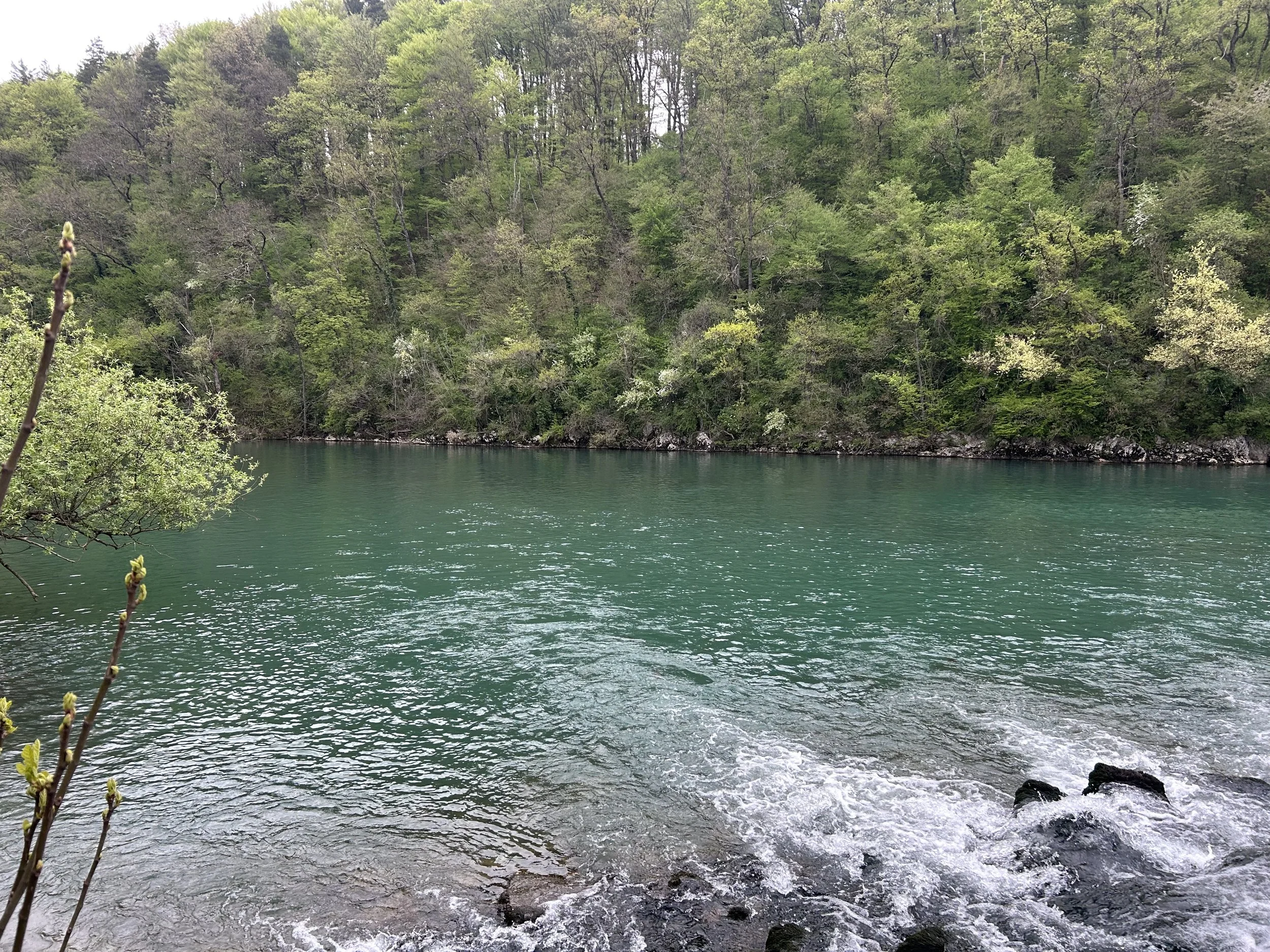 Krka 1