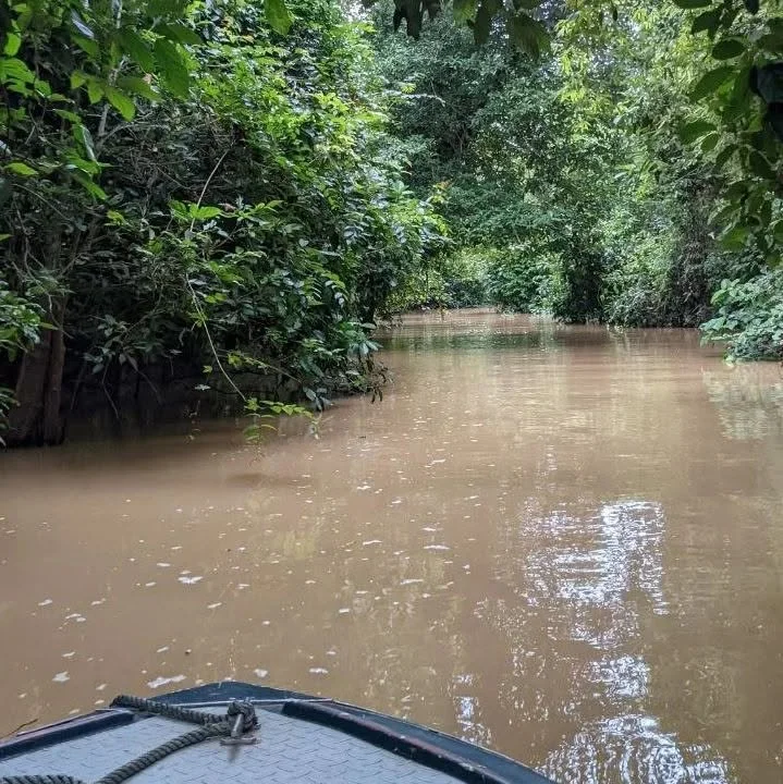 A boat navigating through a narrow, muddy river surrounded by dense green foliage.