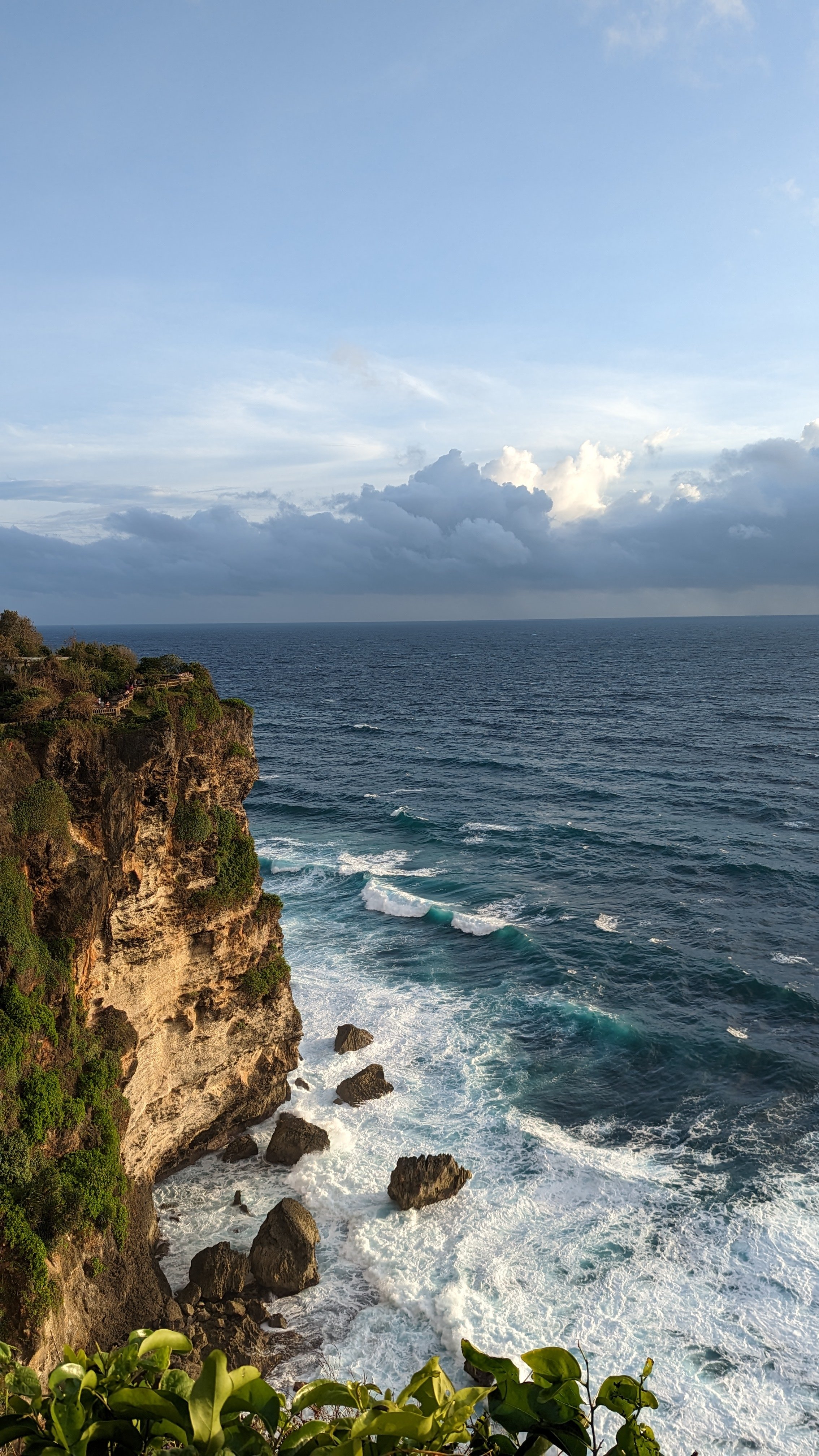 Cliff overlooking the ocean with a cloudy sky and lush green foliage at the foreground.