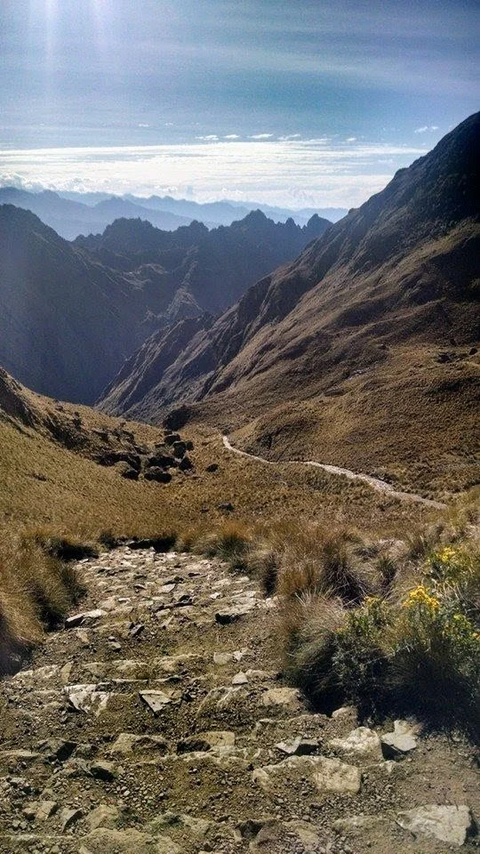 Rocky trail leading through mountainous landscape with dry grass and sparse yellow flowers, distant mountain ranges under a partly cloudy sky.