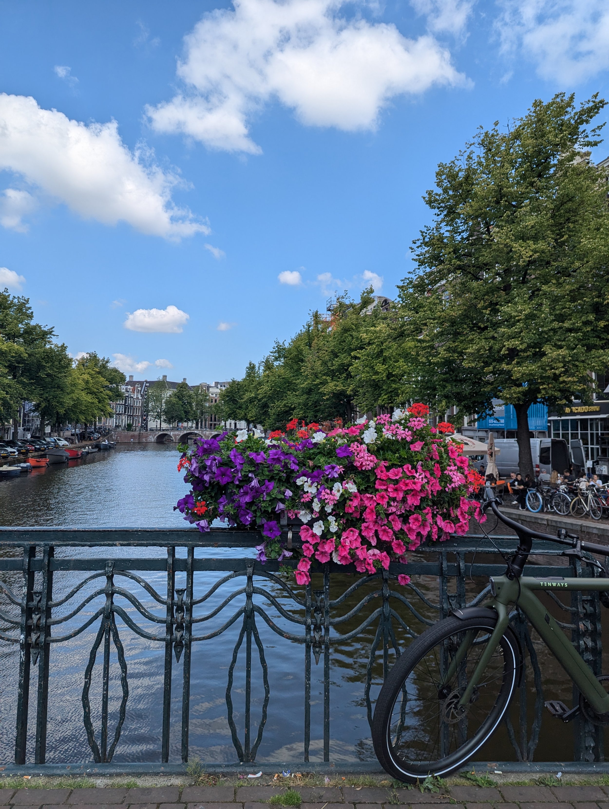 A canal with boats, a bridge, trees, and buildings under a partly cloudy sky. In the foreground, a metal fence with a large flower box filled with colorful petunias. A bicycle is leant against the fence.