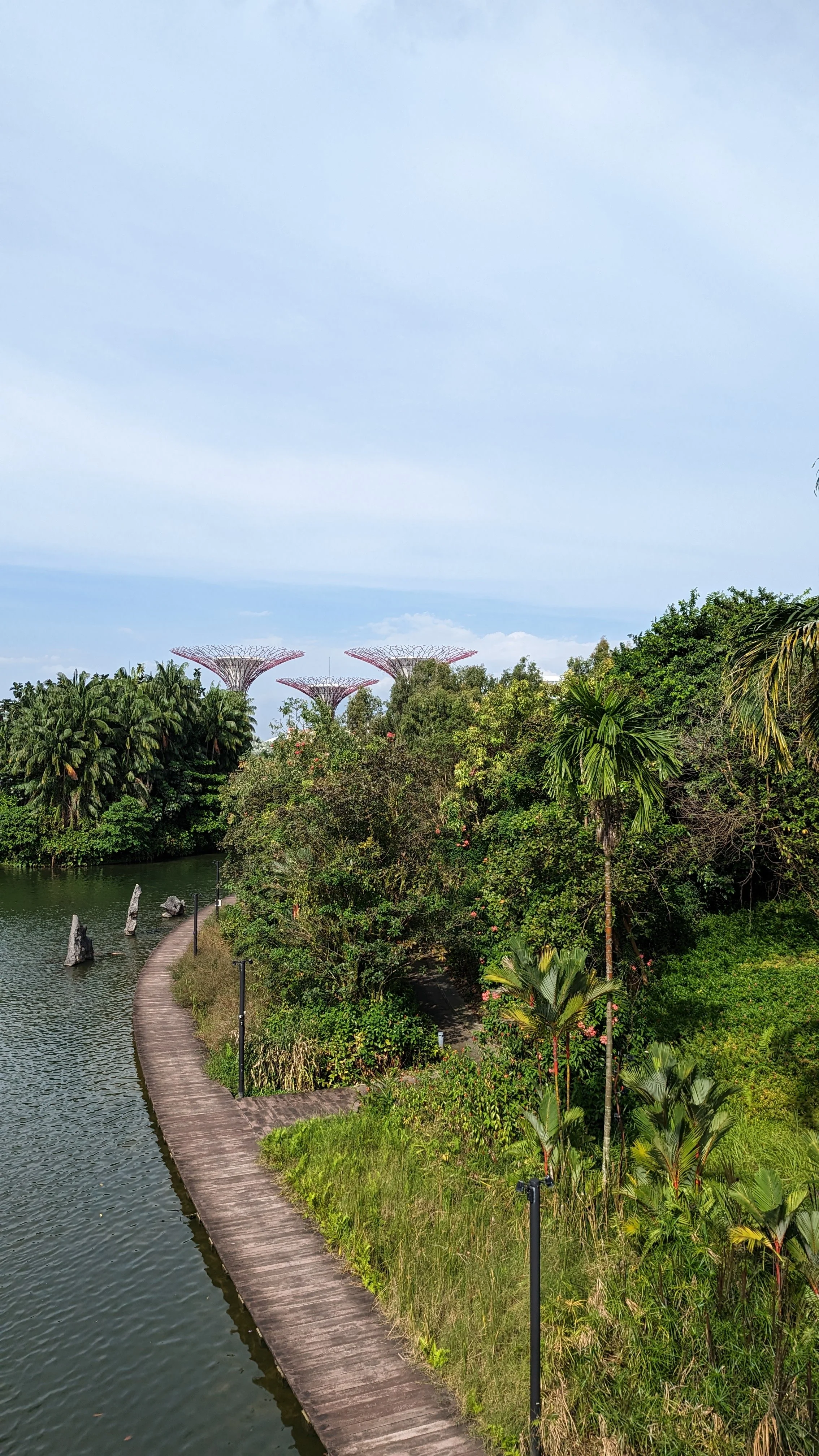A scenic view of lush green tropical plants and trees alongside a winding boardwalk by a calm water body, with distinctive futuristic structures in the background under a partly cloudy sky.