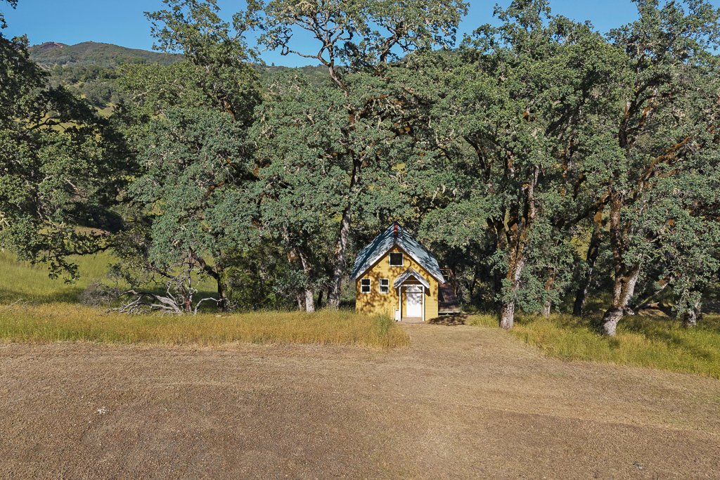 A small yellow house with a gray roof and white door in front of a large tree in a grassy area.