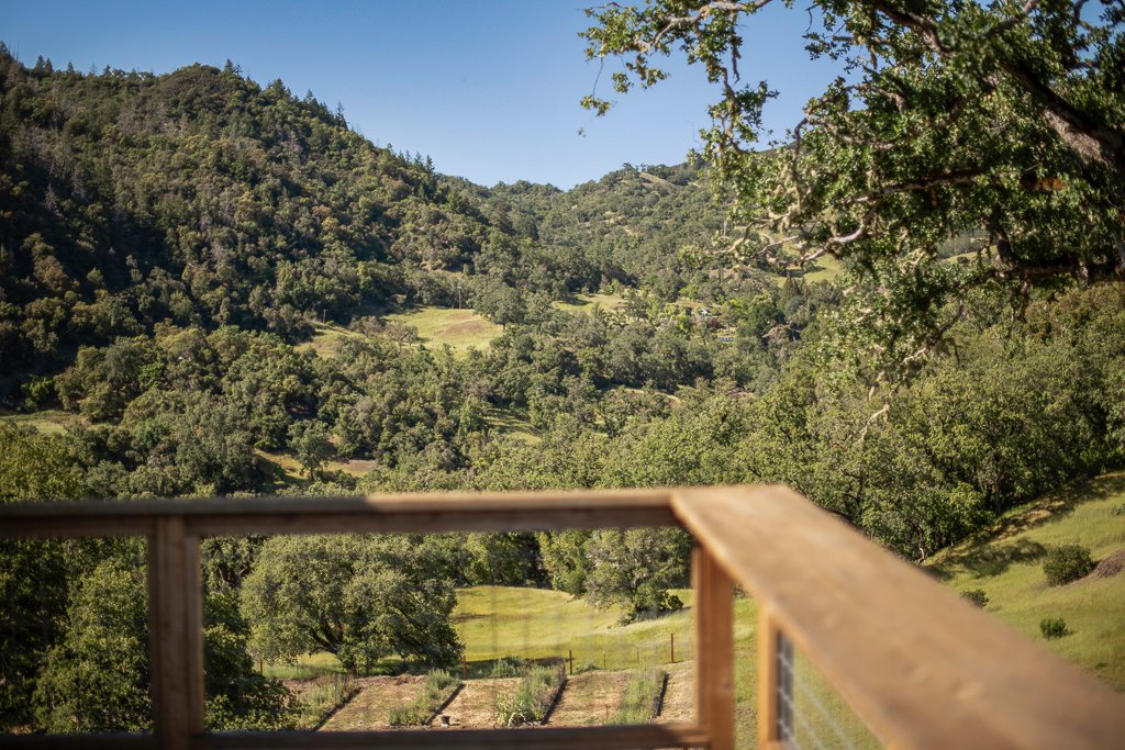 Scenic view of rolling green hills and dense trees, seen from a wooden balcony in a rural area on a sunny day.