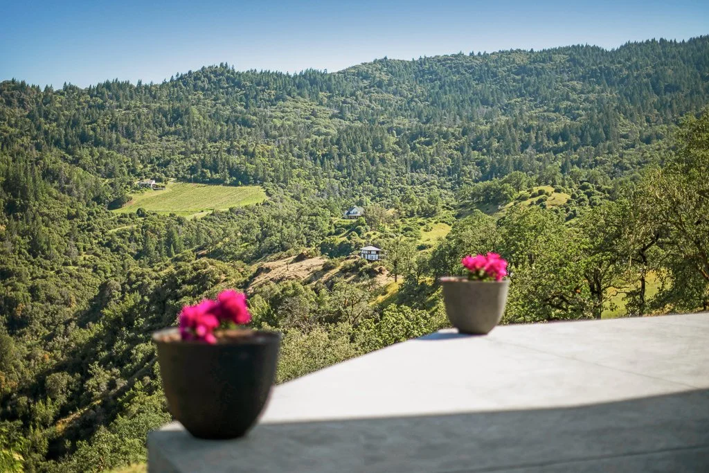 Two small flower pots with pink flowers on a ledge overlooking a lush green hilly landscape.