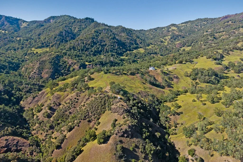 Aerial view of green rolling hills with scattered trees and a white house on a hillside under a clear blue sky.