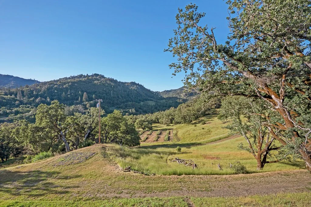 A scenic landscape with green hills, trees, and a clear blue sky.