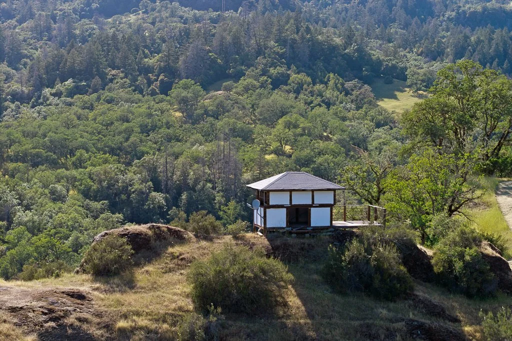 A small white house with a dark grey roof and a deck, situated on a hillside surrounded by green trees and shrubs.
