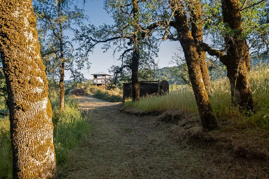 A dirt trail winding through a wooded area with trees on both sides and a wooden gazebo in the distance under a clear blue sky.