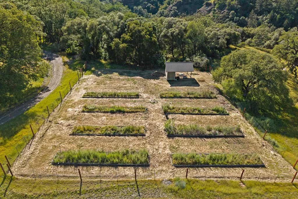 An aerial view of a small farm with seven rectangular garden beds filled with plants, surrounded by a wire fence, with a dirt path on the left and trees in the background. There is a small shed with a metal roof near the top of the garden beds.