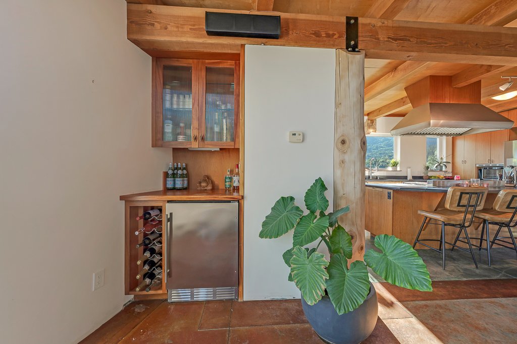 A kitchen area with wooden cabinetry, a countertop with water bottles, a wine cooler, and a potted plant with large green leaves in the foreground.