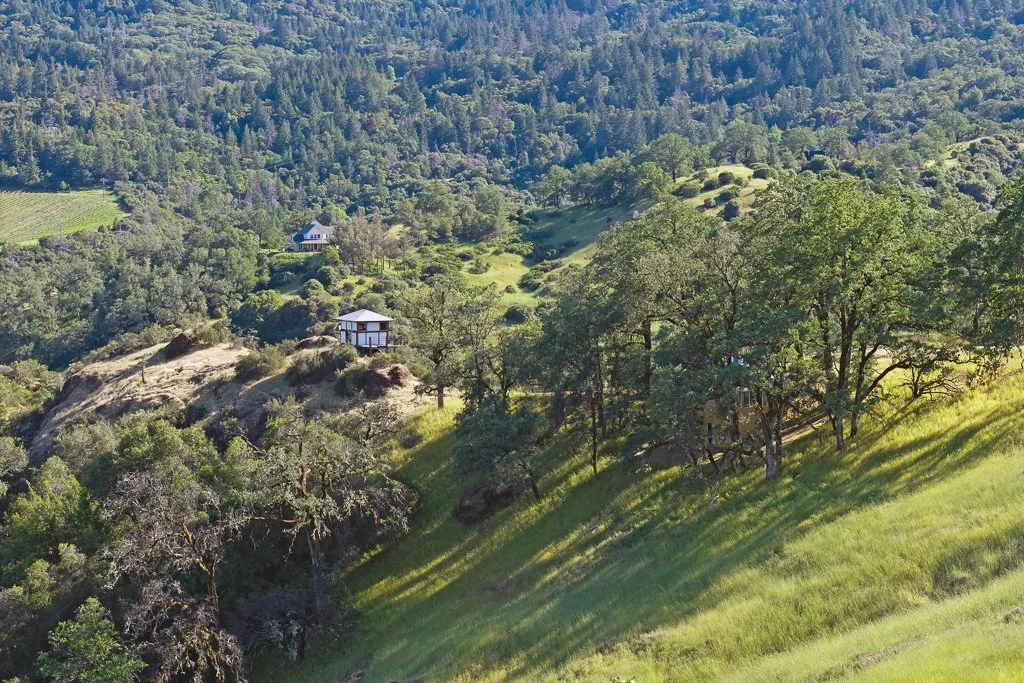 Hillside with trees, grassy slopes, and a few houses surrounded by dense forest.