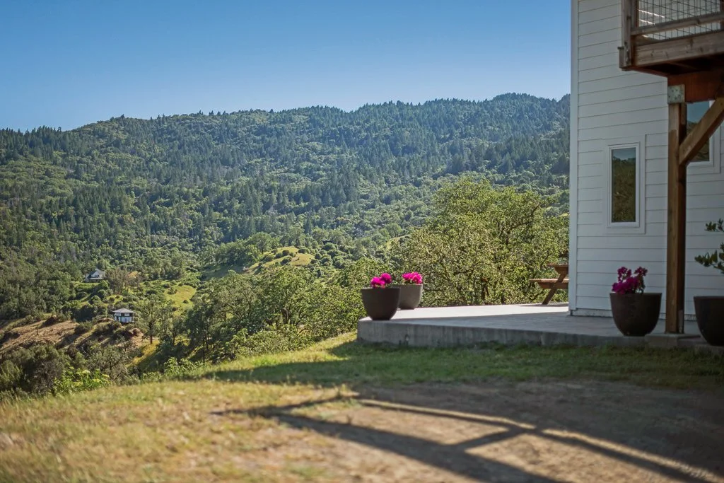 A white house with a deck and potted pink flowers, overlooking a green hillside with trees and mountains in the distance.
