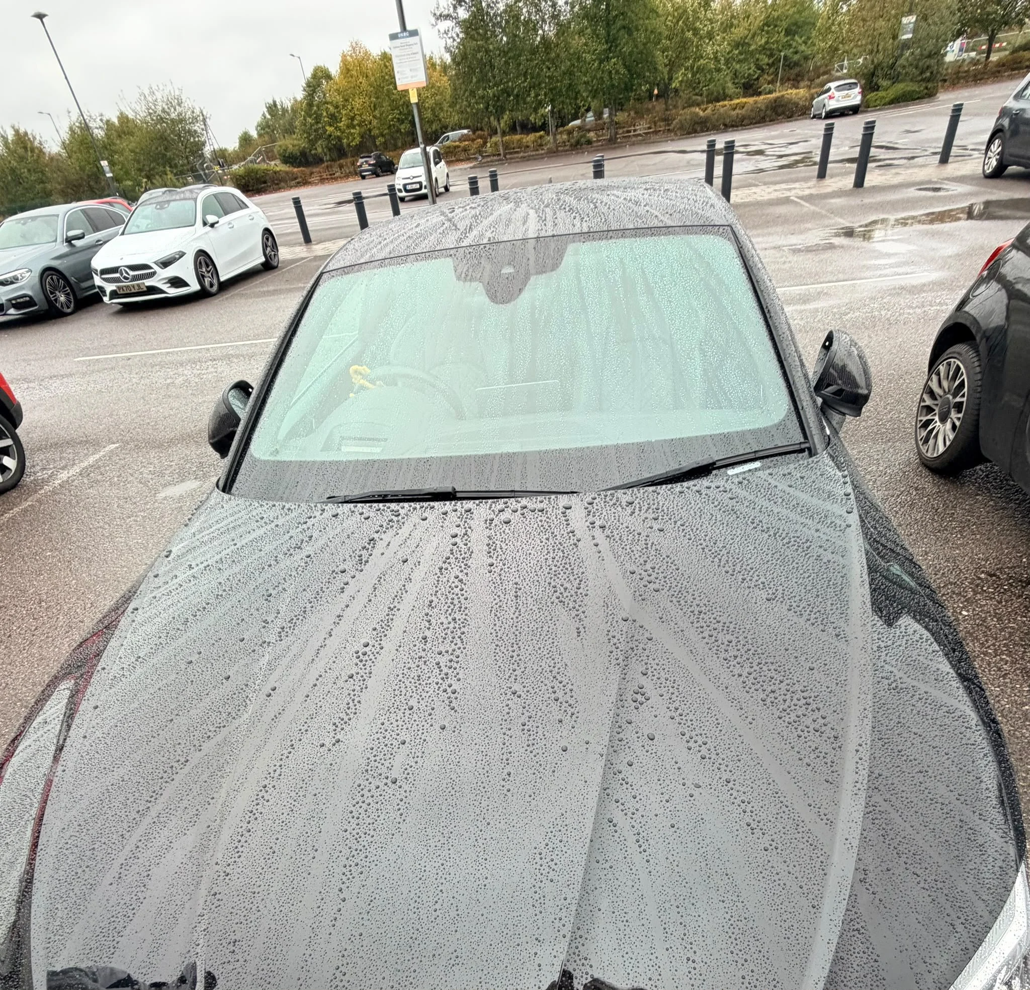 1000065726.jpg