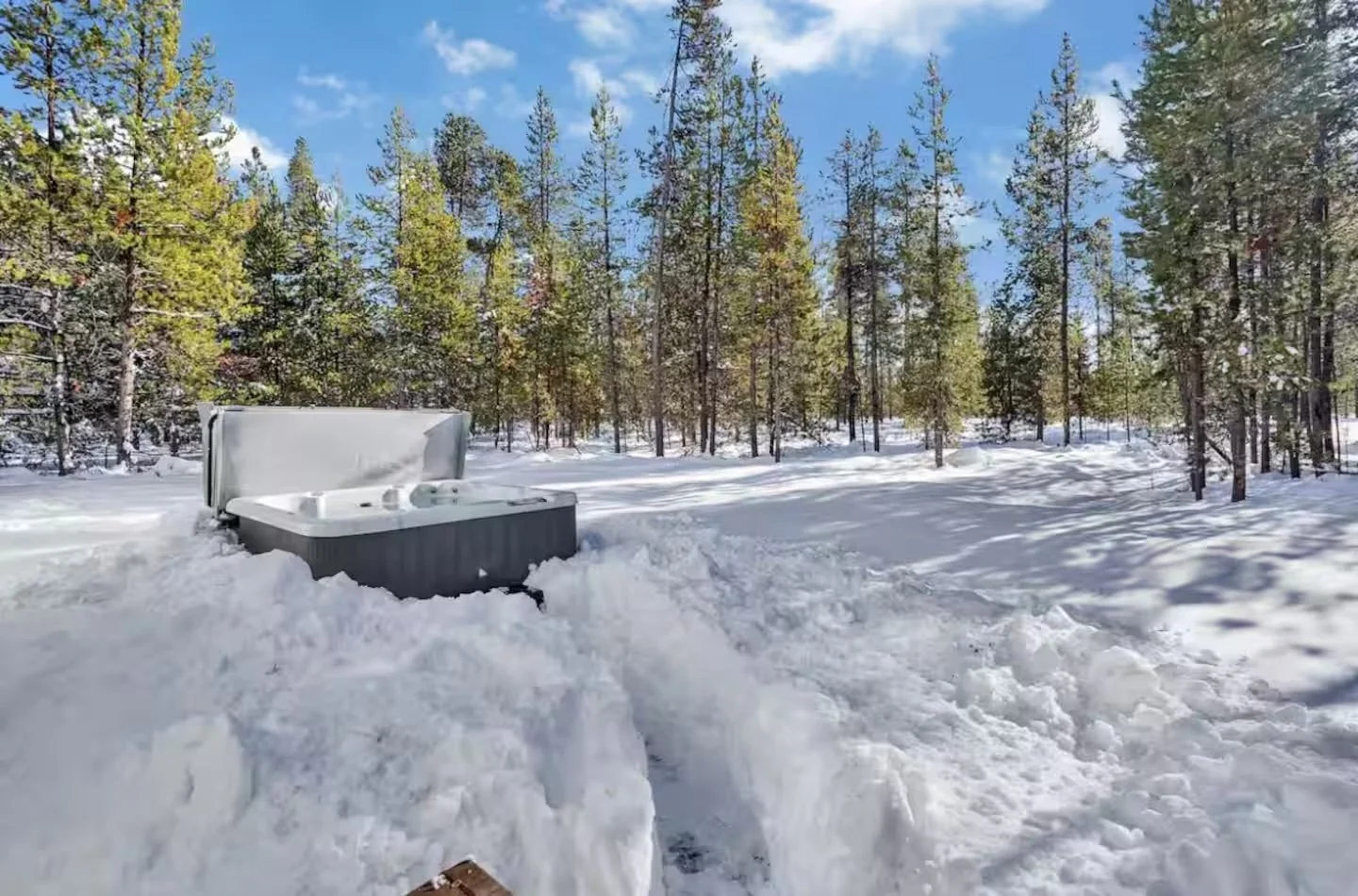 Hot tub in fresh snow surrounded by tall pines under a blue sky
