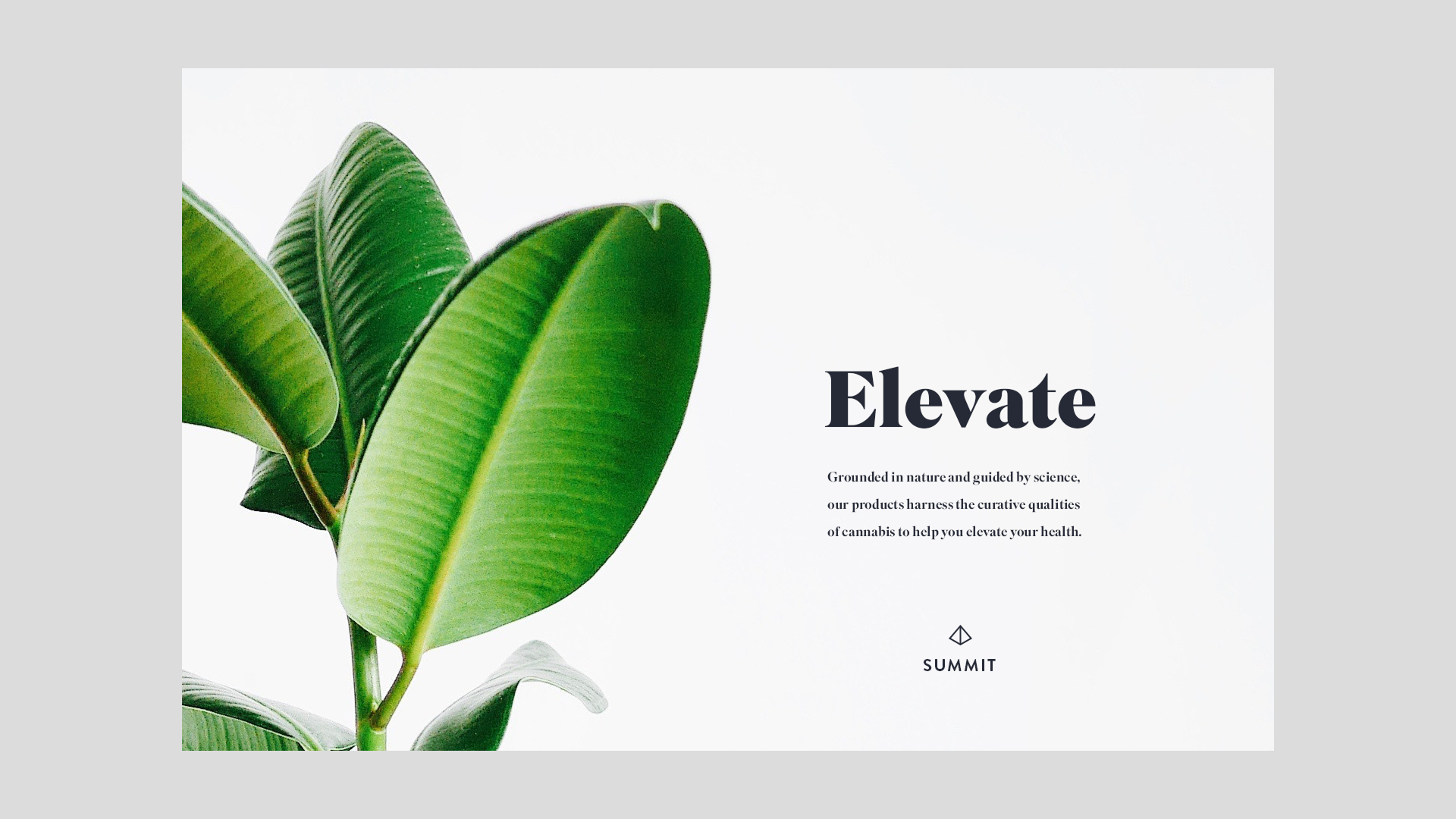 Slideshow Images-38.png
