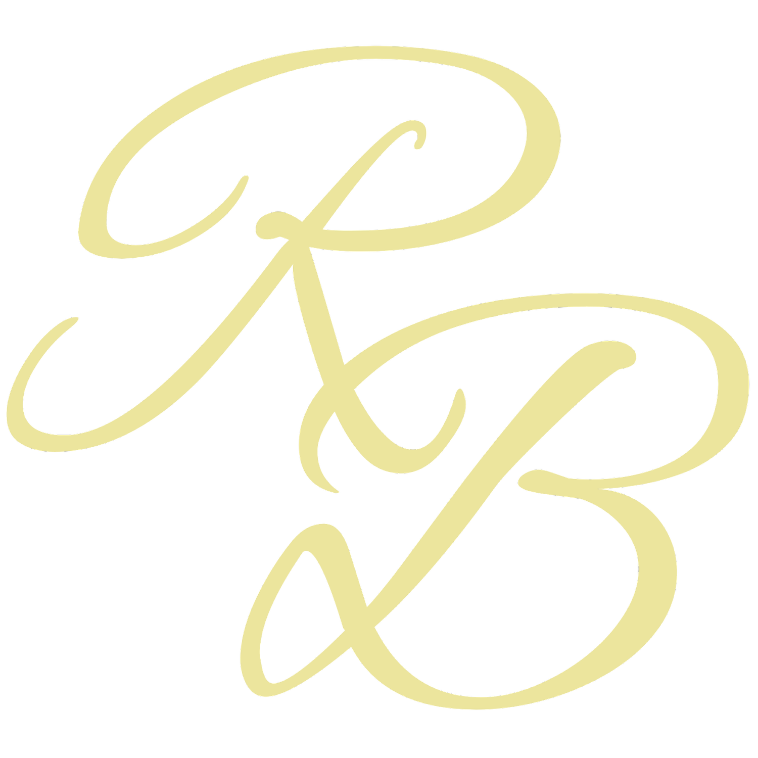 Rebecca Brooke Photography LLC