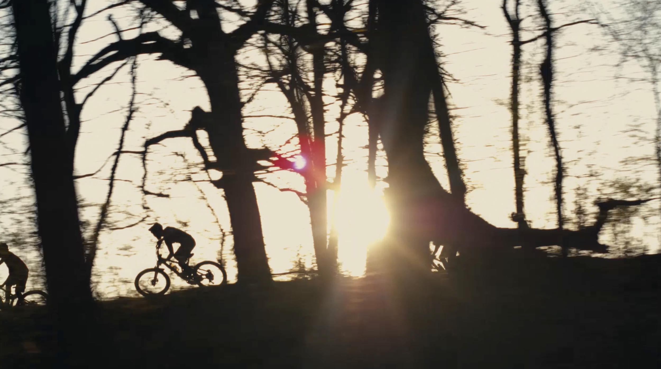 Chase Brand Purpose