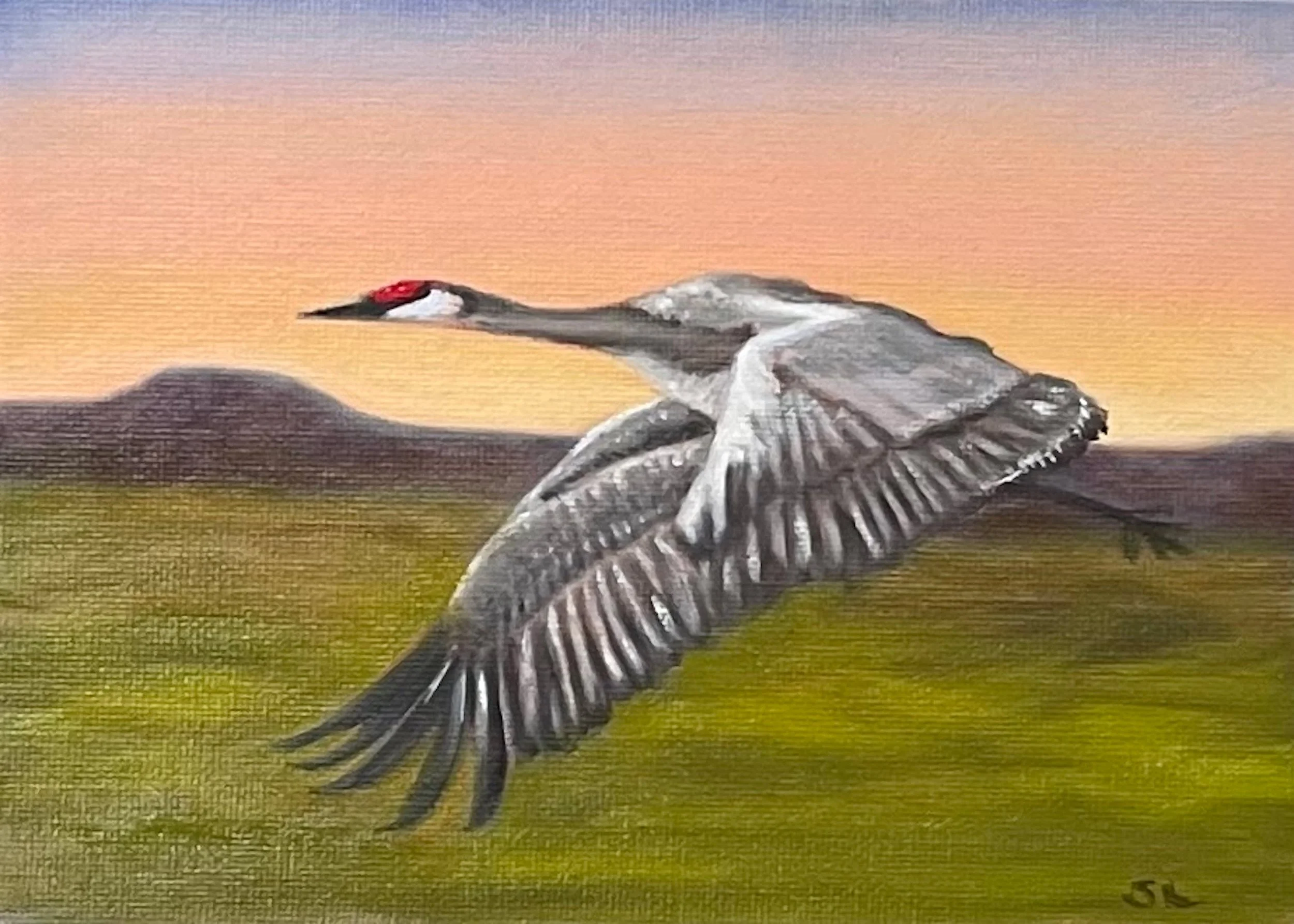#oilpainting&nbsp;#birdpainting&nbsp;#realism&nbsp;#contemporaryrealism&nbsp;#representationalart&nbsp;#traditionalpainting&nbsp;#indirectpainting #sandhillcrane #realisticart #abqart #albuquerqueartist #newmexicoartist