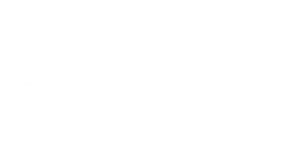 VJal Institute logo - Path to AI Success, V with wings