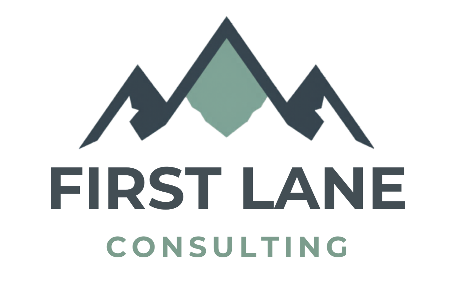 First Lane Consulting