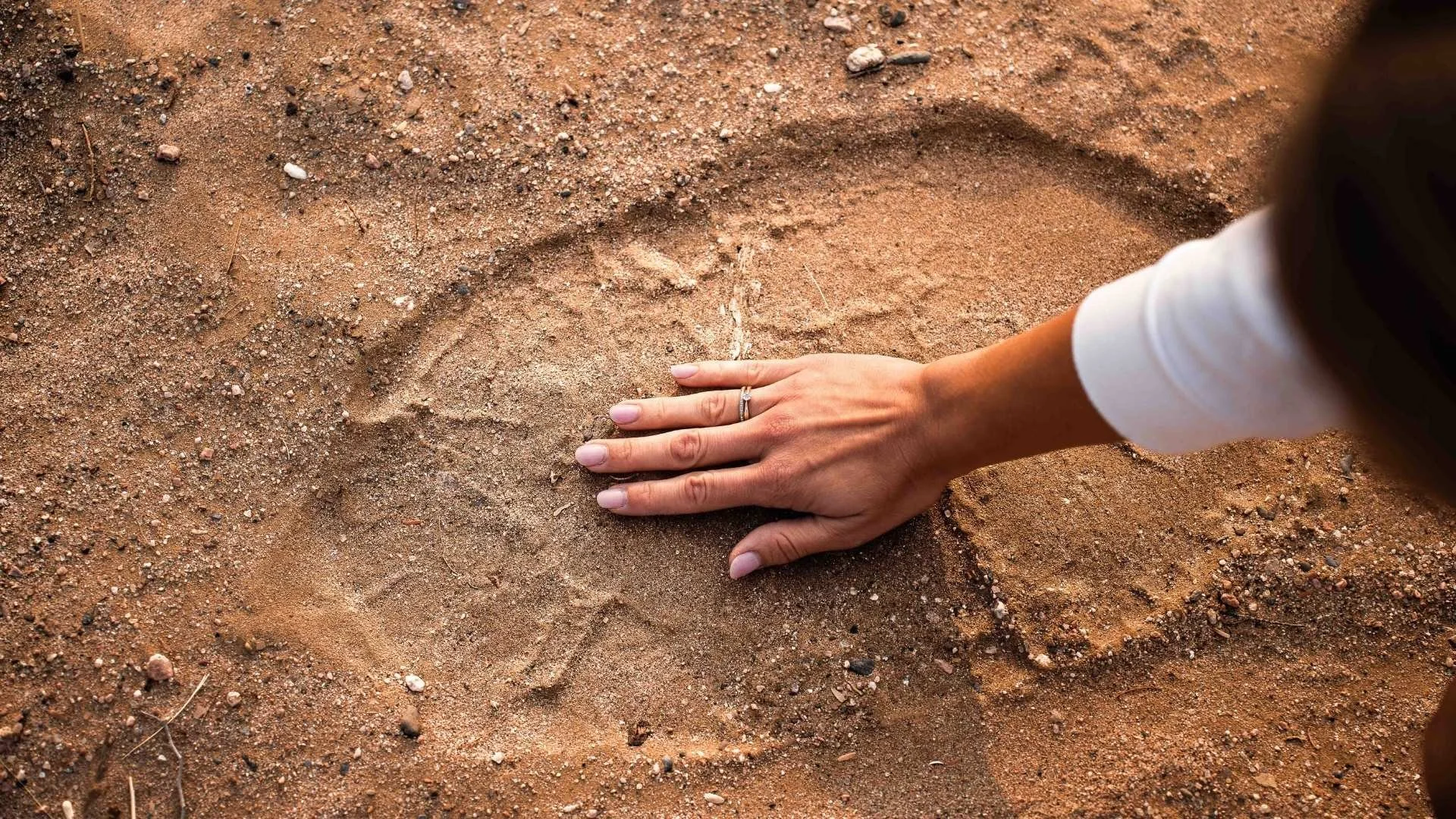 fußabdruck-wuestenelefant-damaraland-yasin-kirsch.jpg