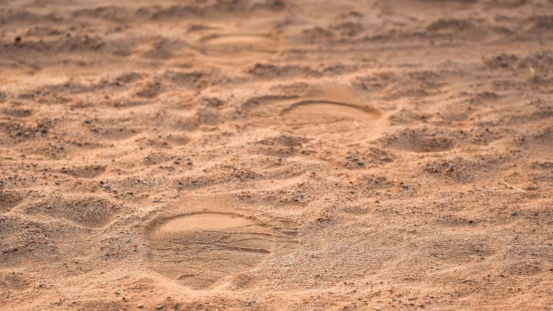 fußabdruecke-wuestenelefant-damaraland-yasin-kirsch.jpg