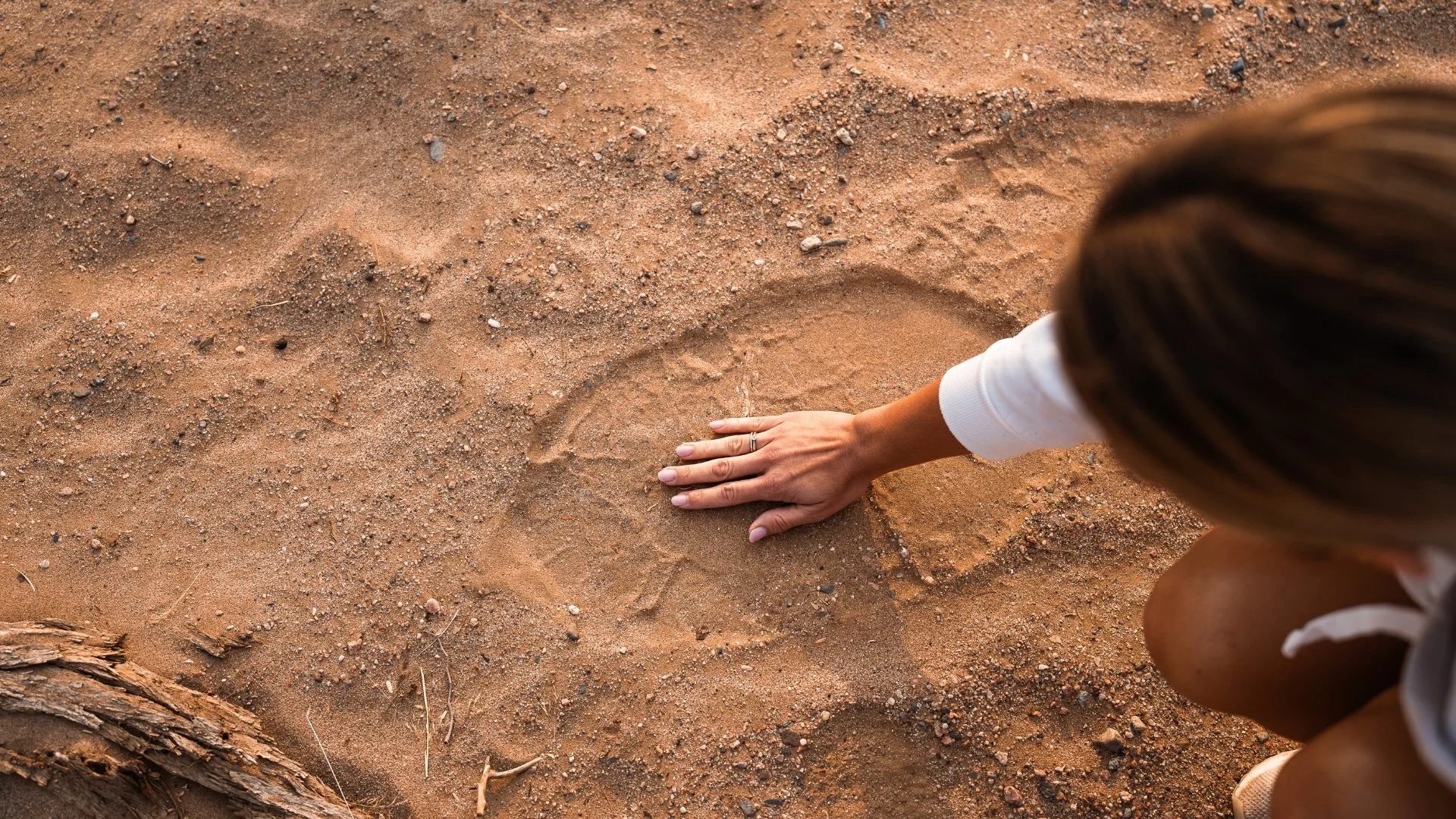 fußabdruck-wuestenelefant-damaraland-yasin-kirsch-2.jpg