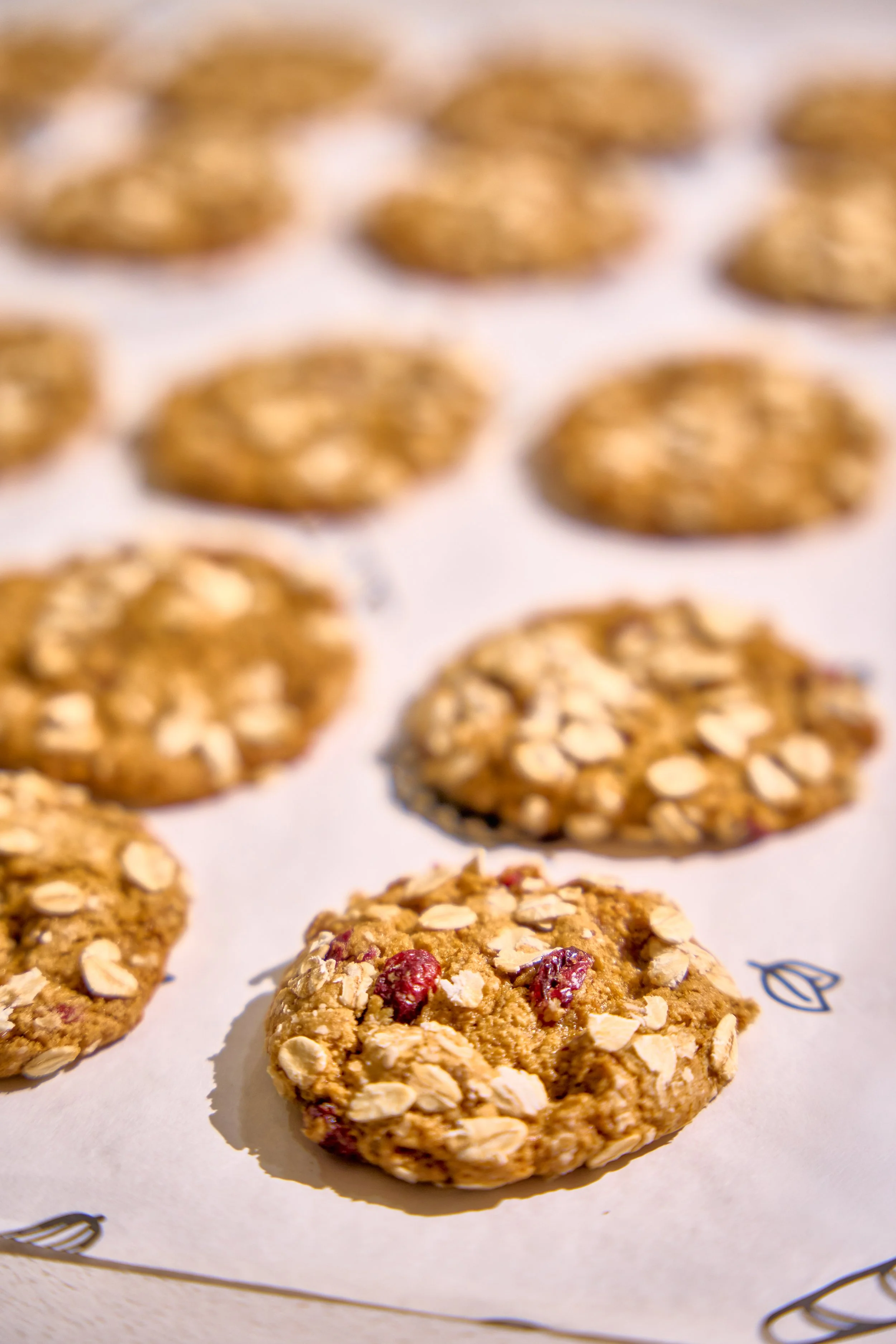 Galletas Avena con Arándanos