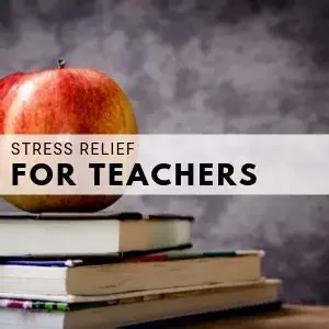 Educator Burnout & Career Navigation Support - $160 / session