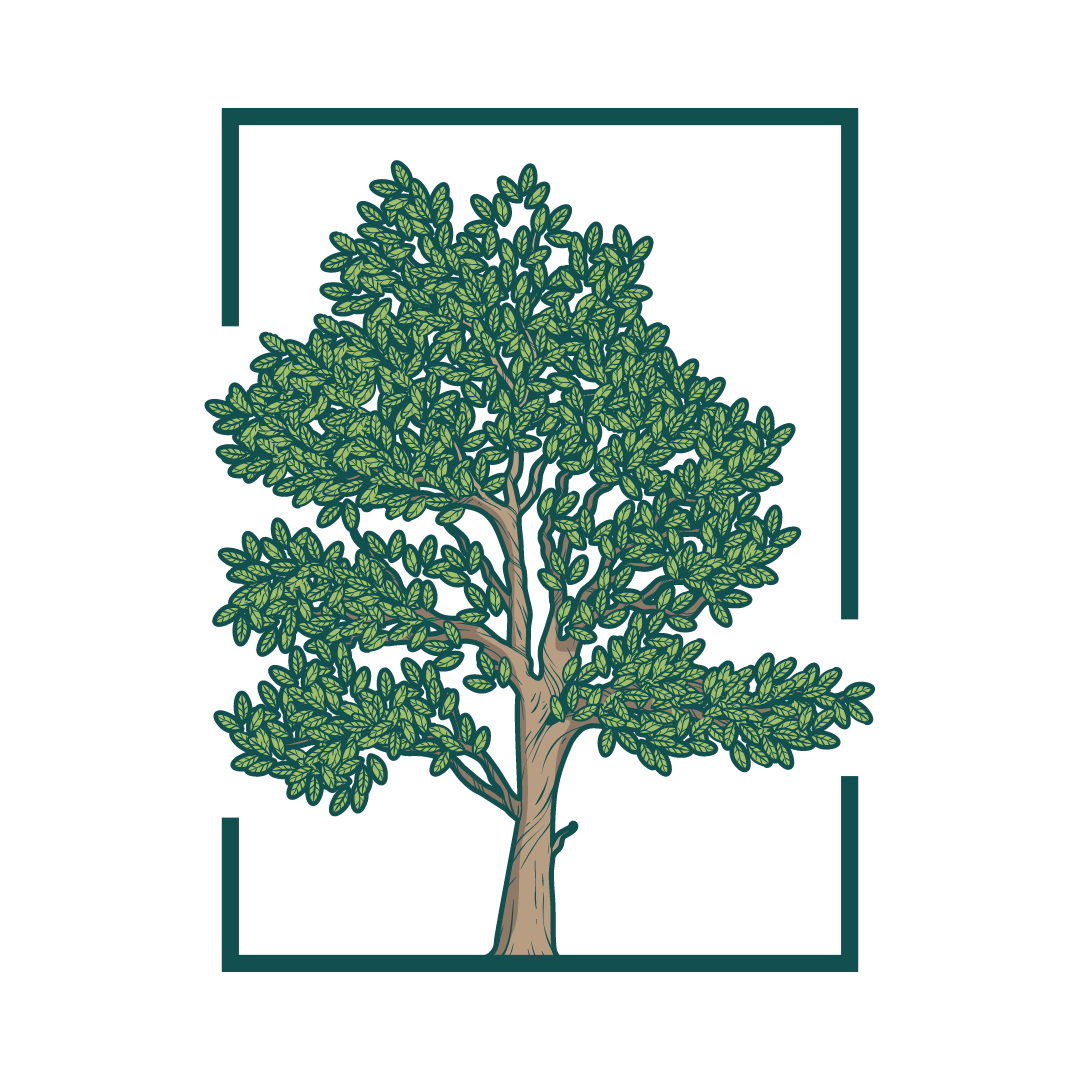 Tender Branch Tree Service