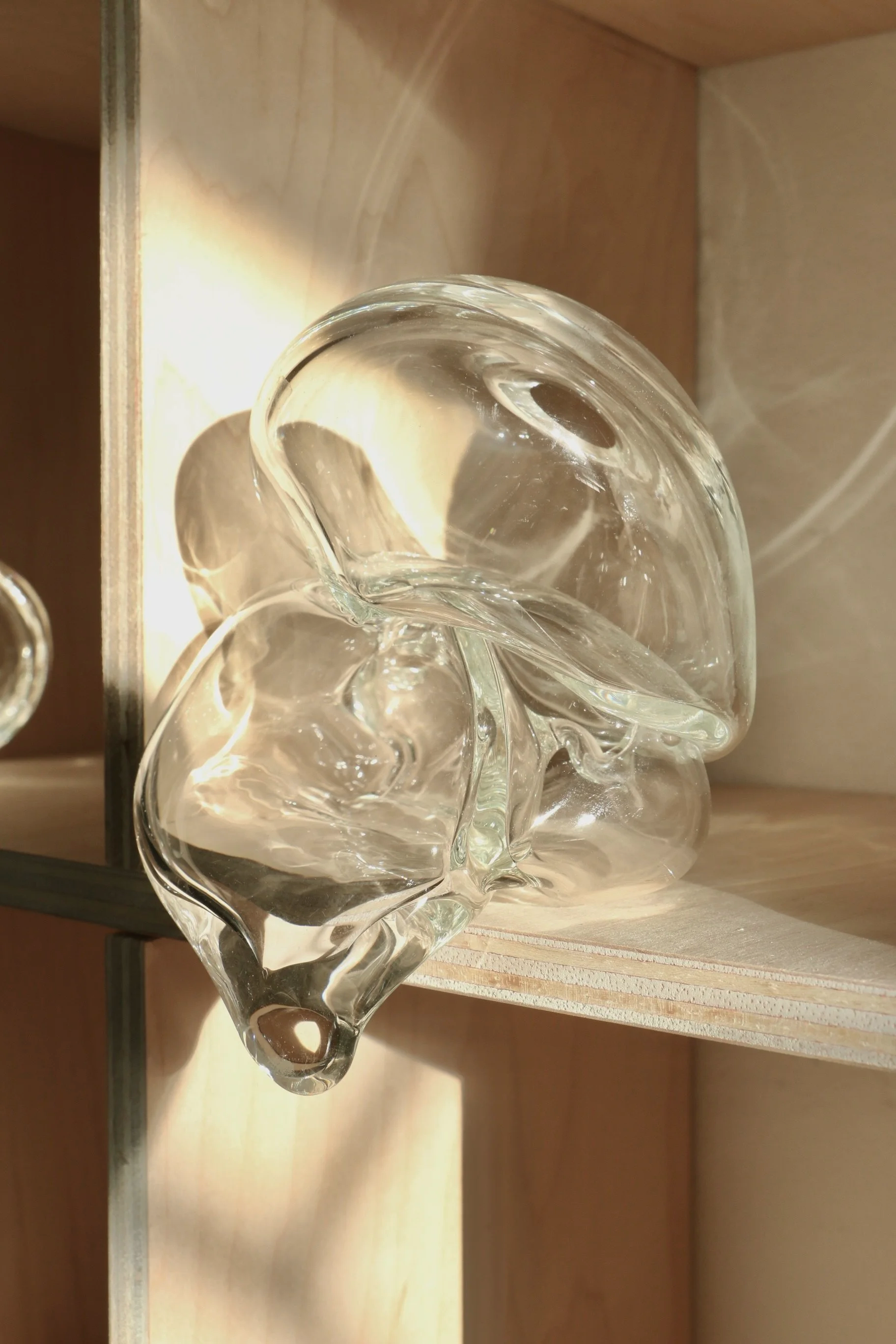 A Record of an Intimate Exchange, 2025
Blown glass, plywood
43” x 25” x 8” inches
