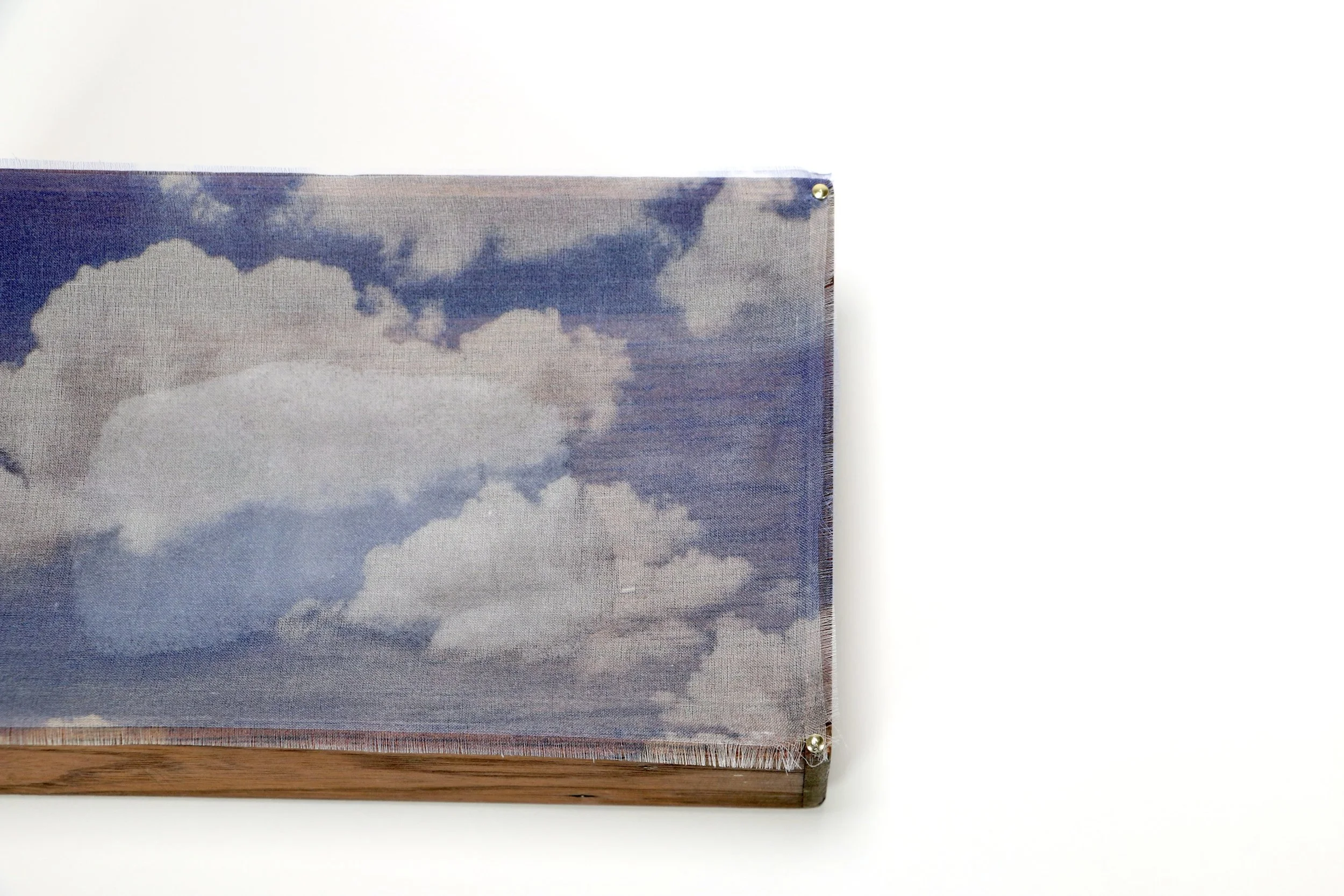 Veiled, 2025				
8.5 x 7.75 x 2.75 inches

pâte de vere, found box, inkjet printed silk organza, brass nails
