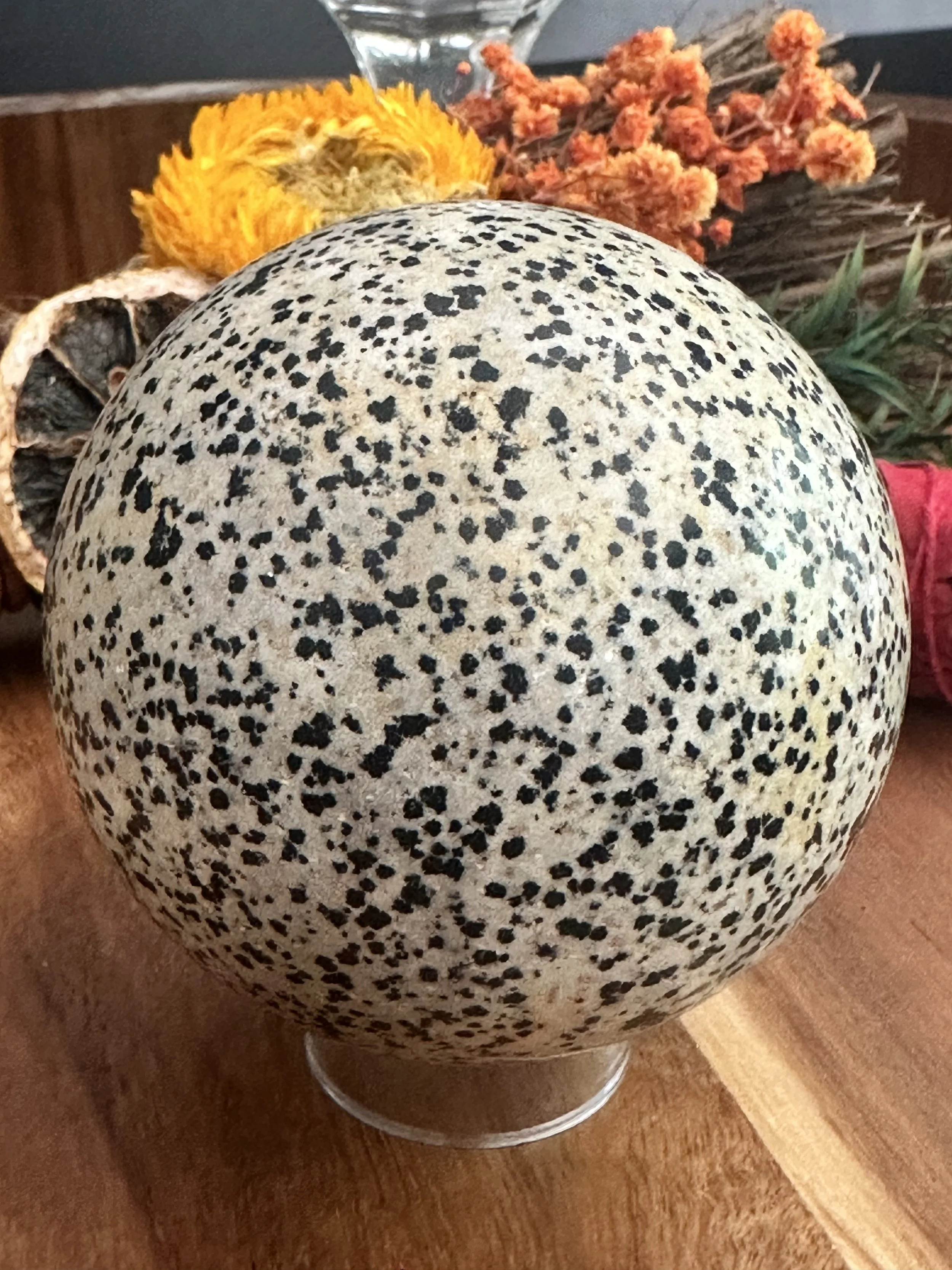 Dalmatian Jasper