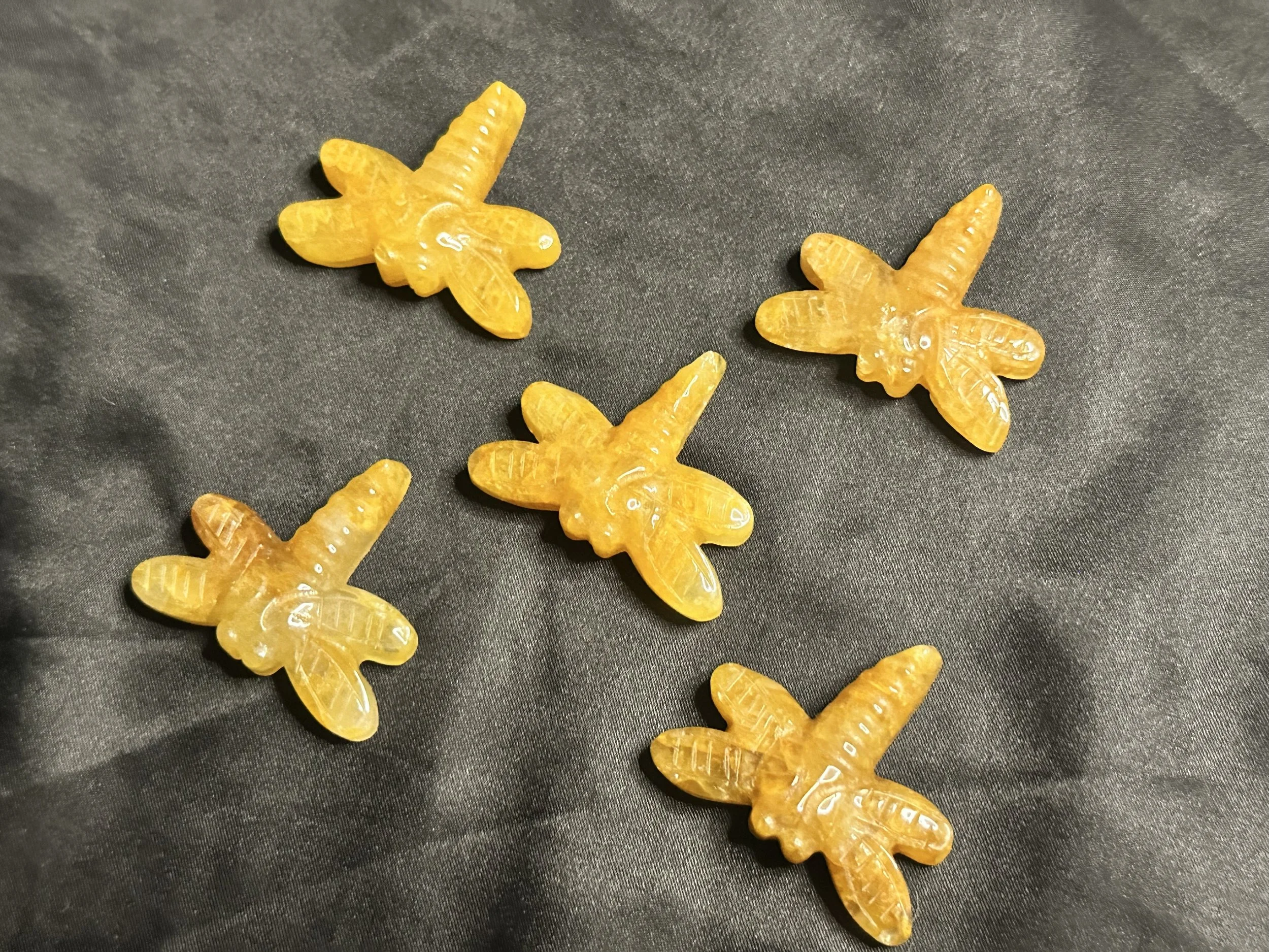 Golden Healer Dragonfly