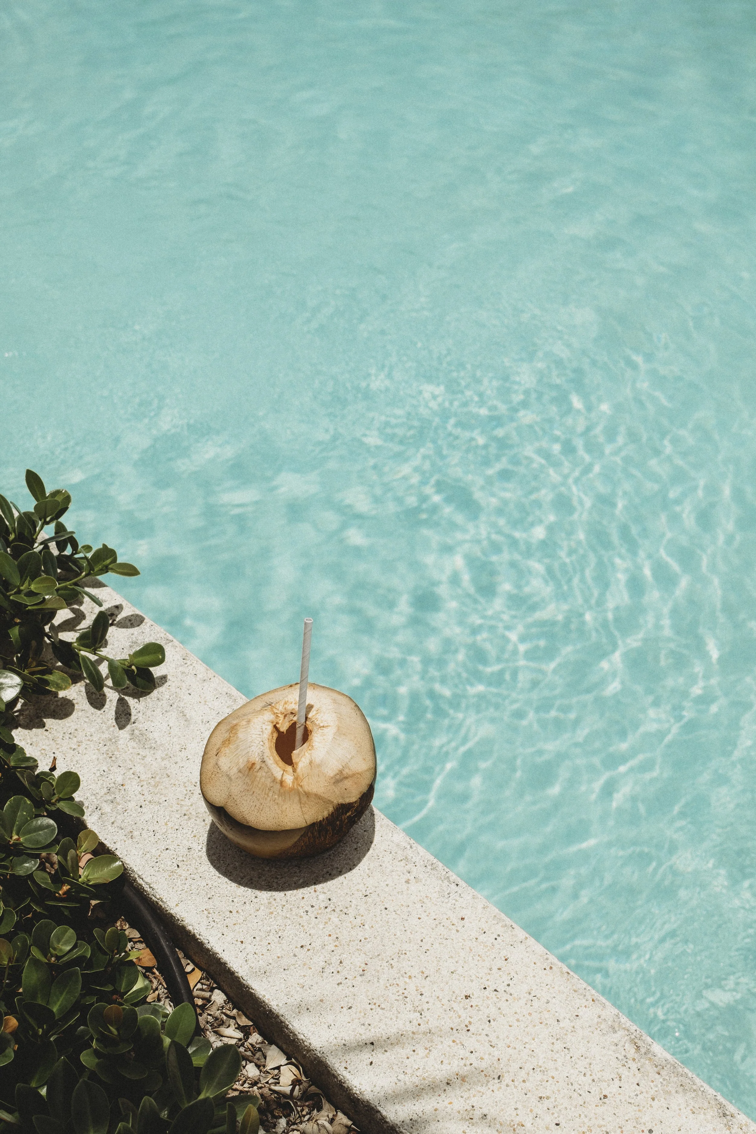 puntacana-1.jpg