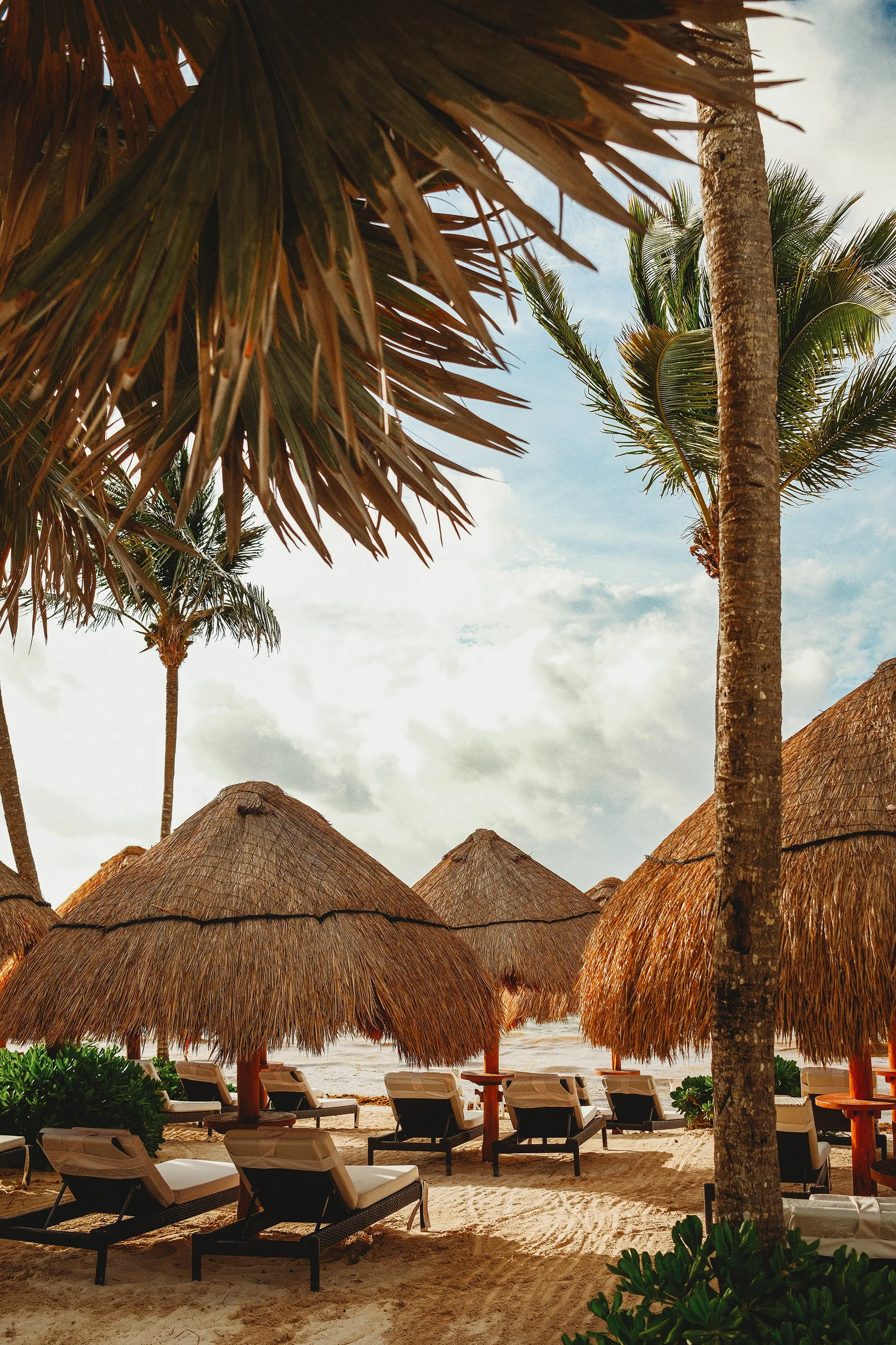 akumal_-13_small.jpg