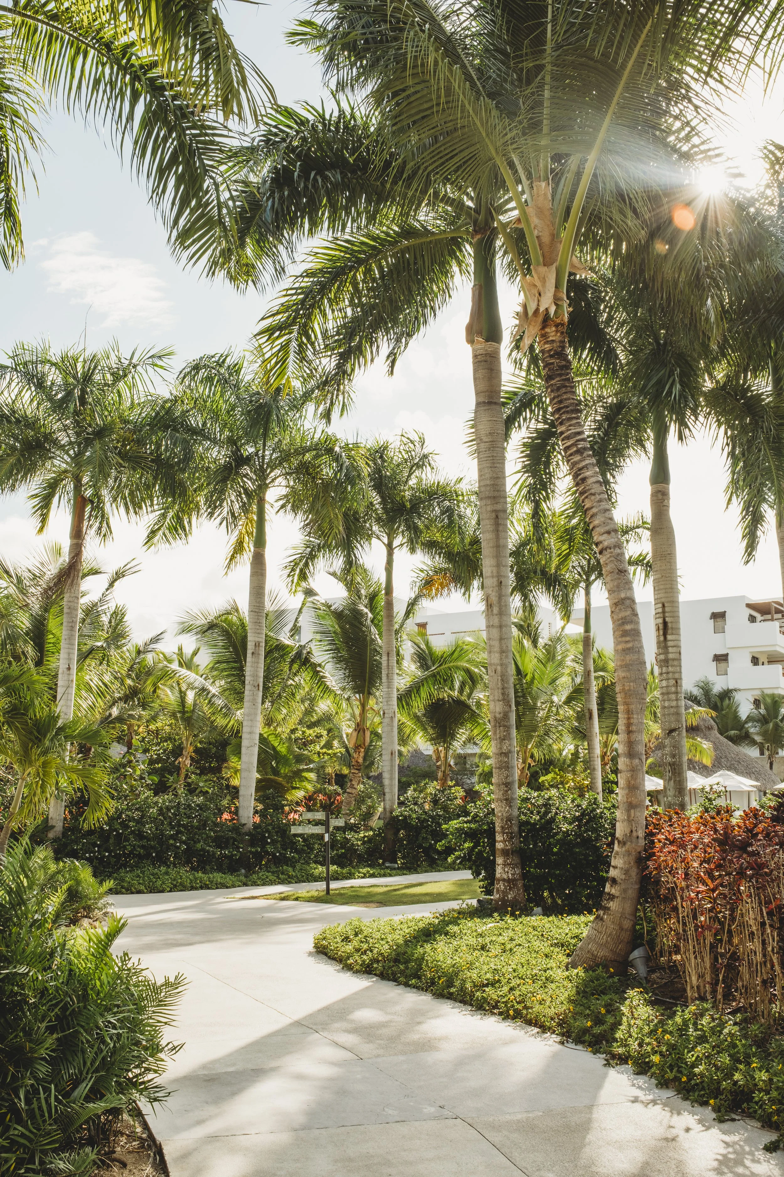 puntacana-3.jpg