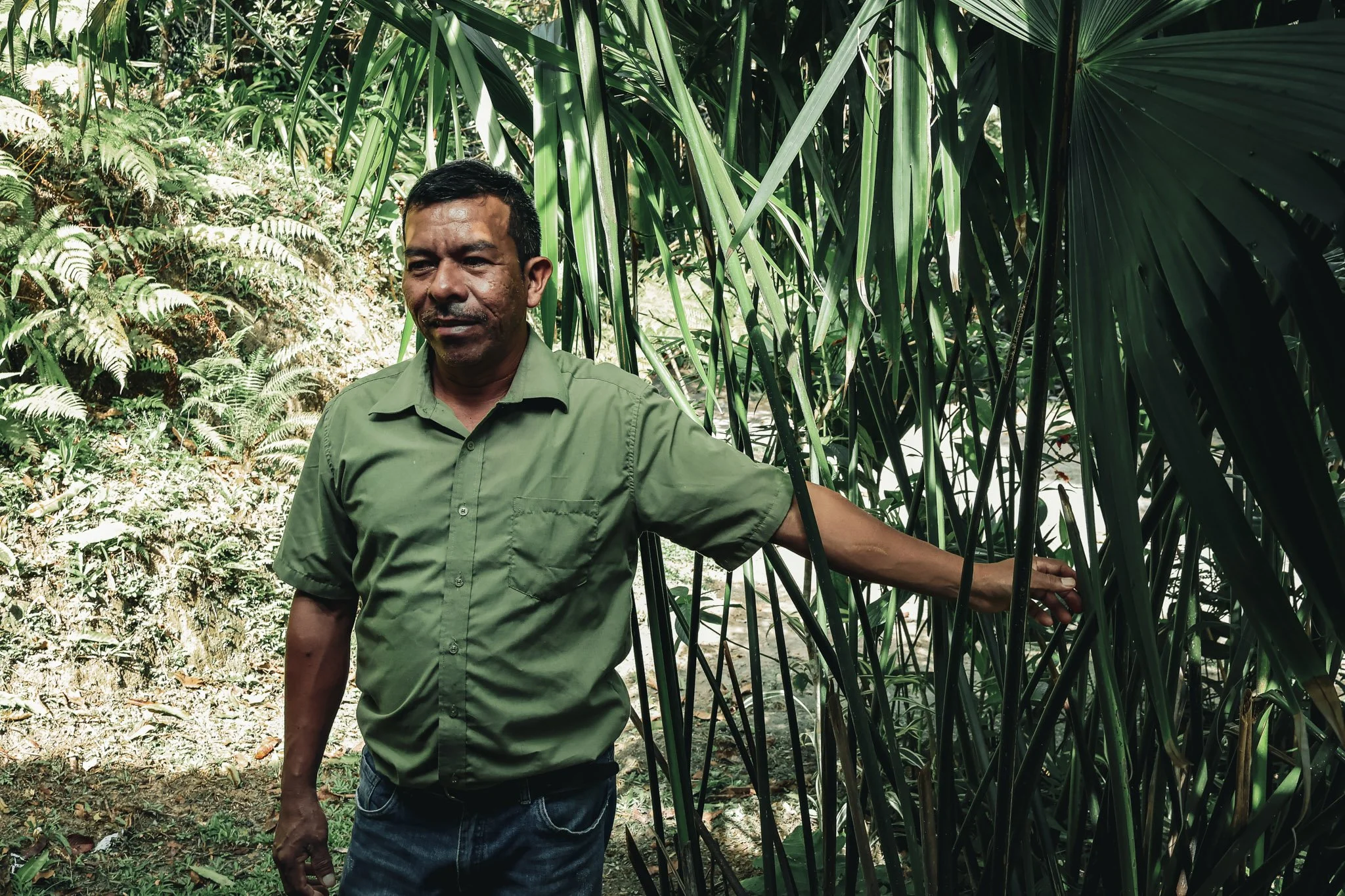 Carlos Soto soteniendo palmas bellota