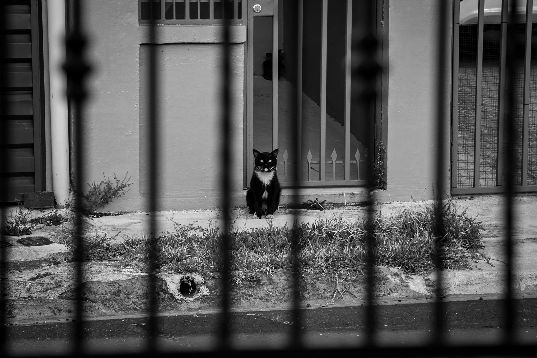 ¿Seguro?
March 20, 2020 — Tibás, San José, Costa Rica. The first day of pandemic lockdown, captured from a window.
