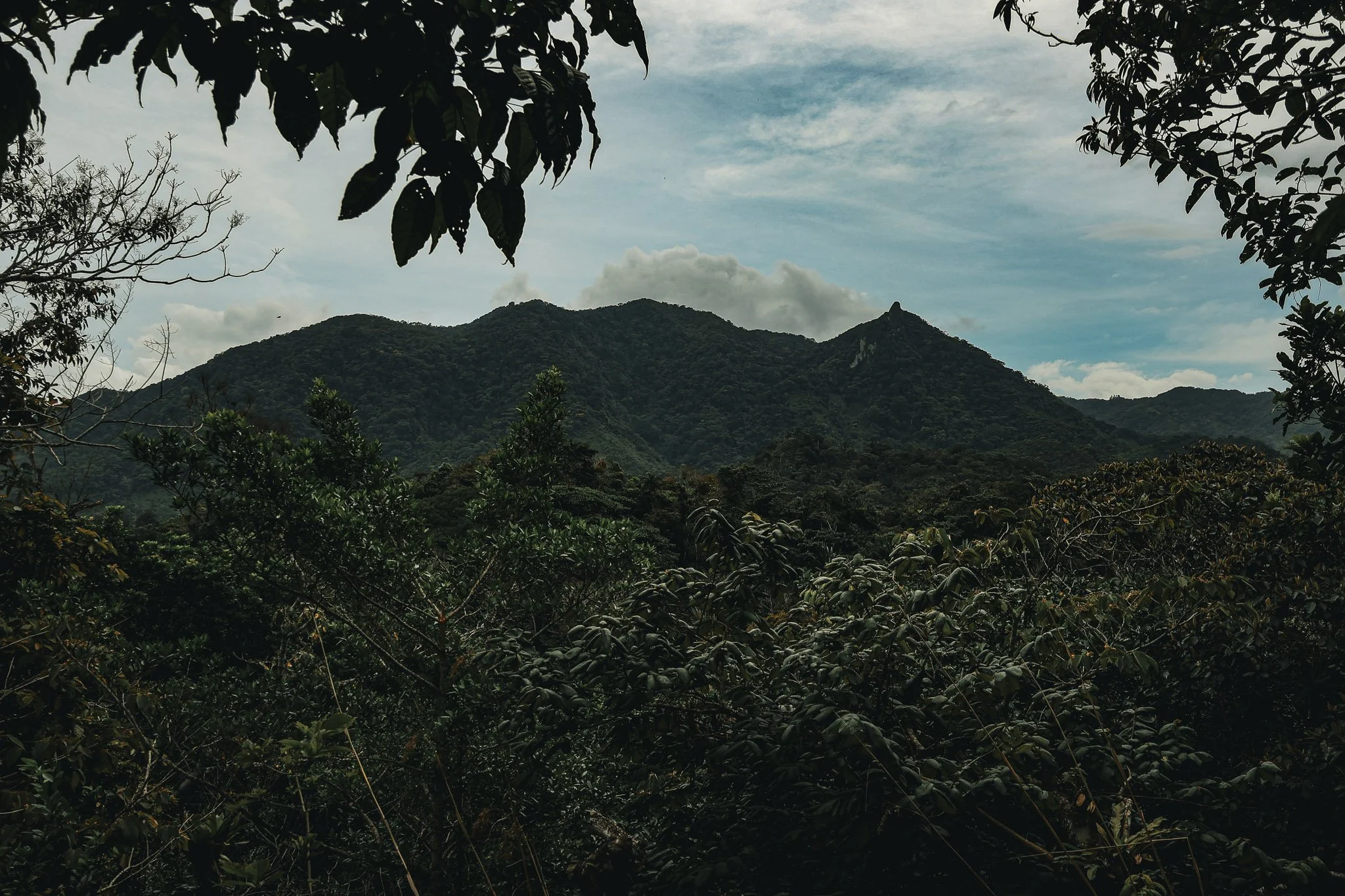 Vista a Cerro Turega