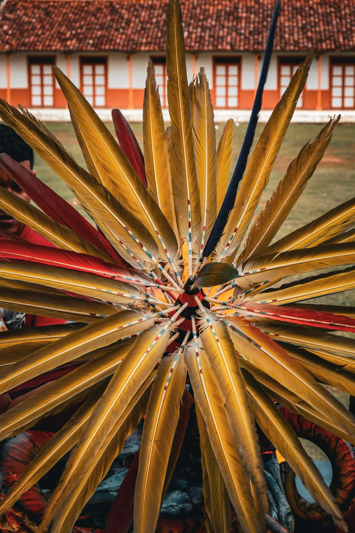 Corpus Christi Parita