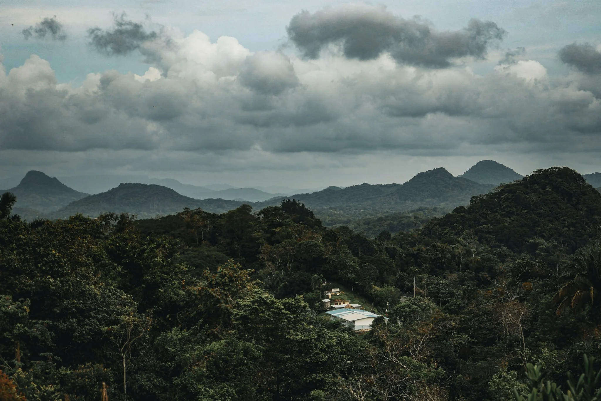Vista con diversos cerros desde encima de la finca
