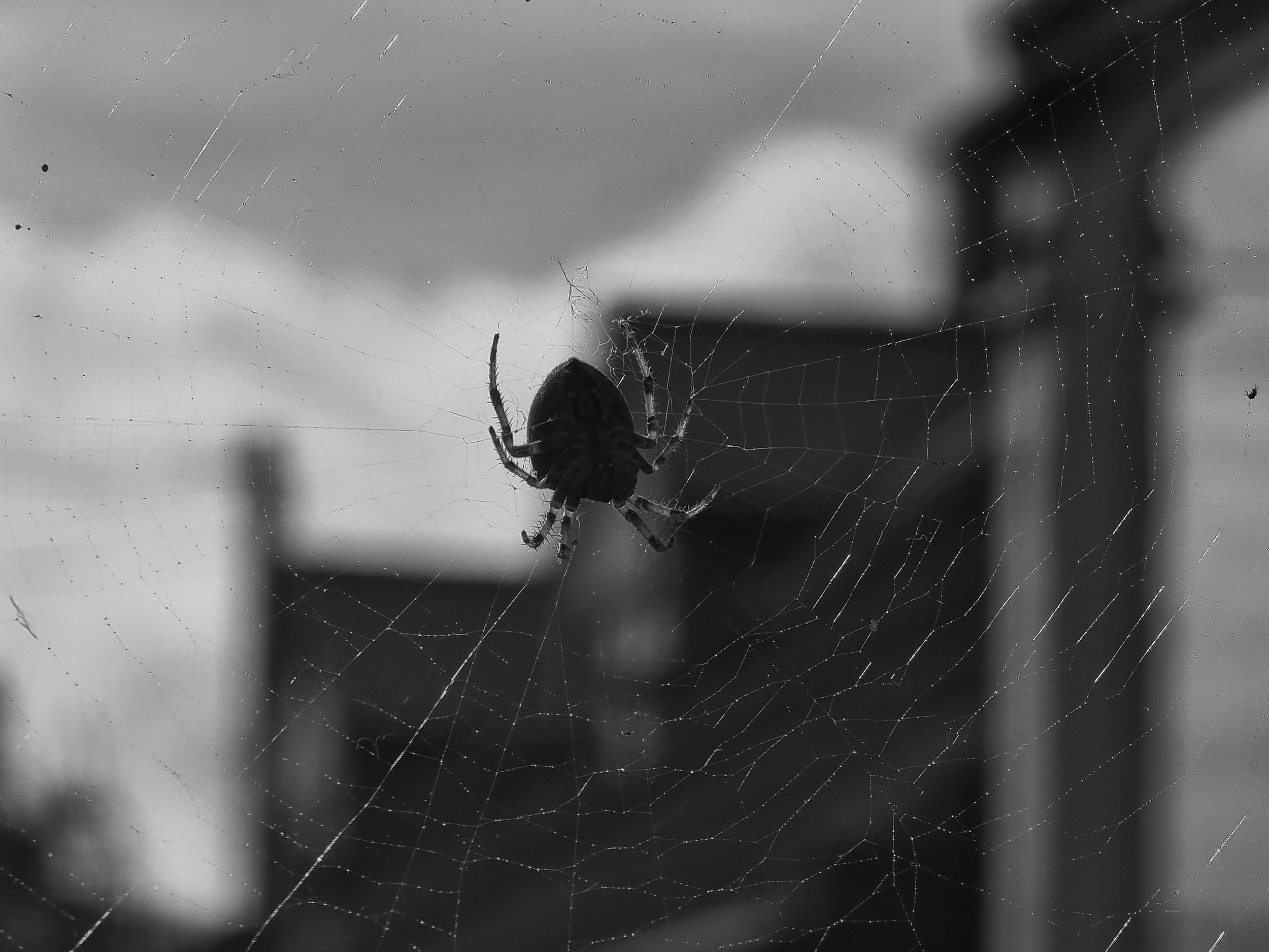 20250918_145441.jpg