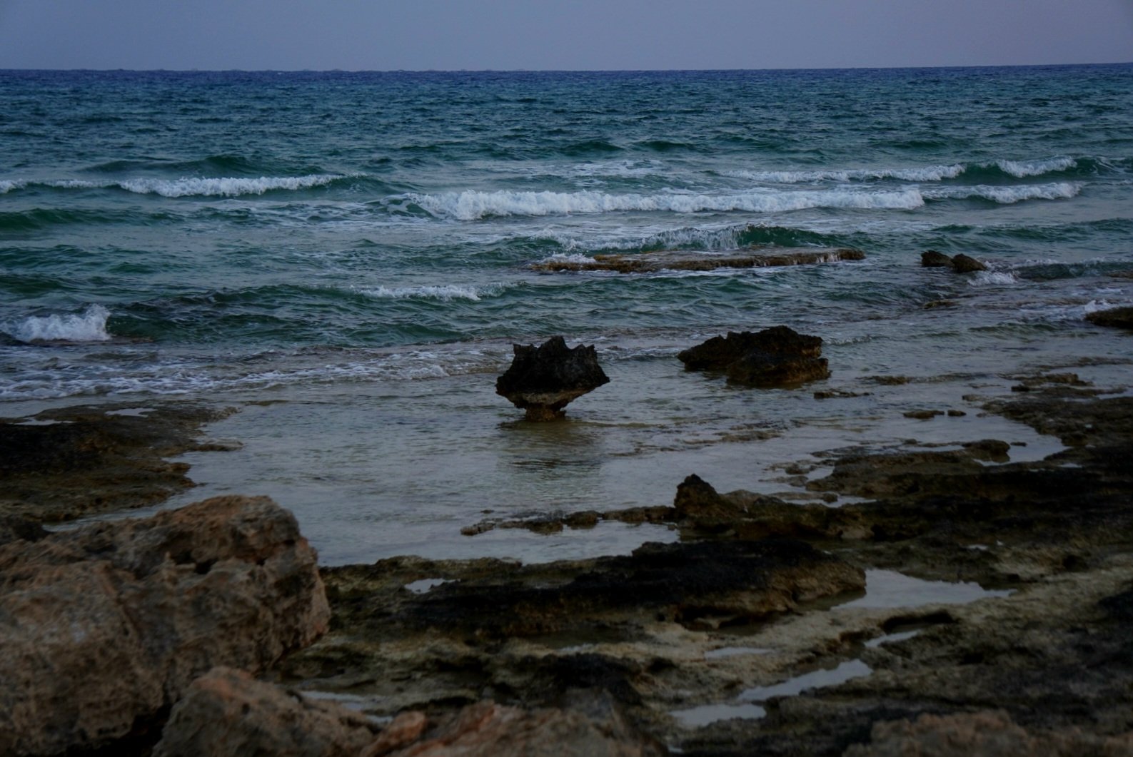 DSC01095.JPG