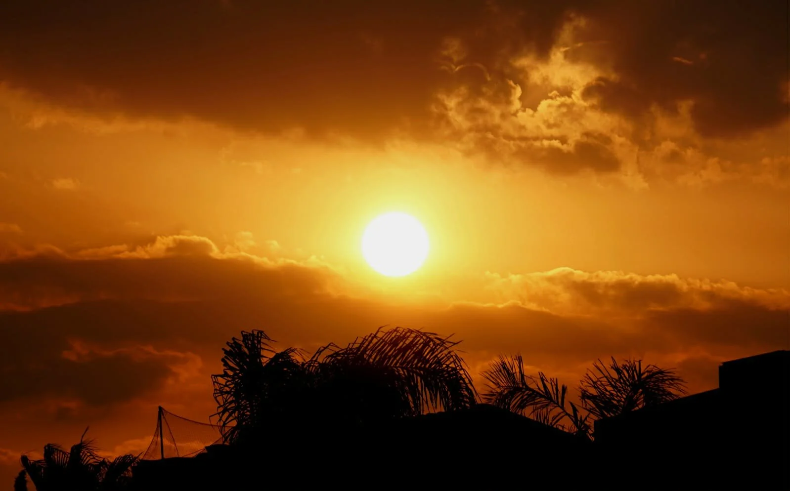 Landscapes