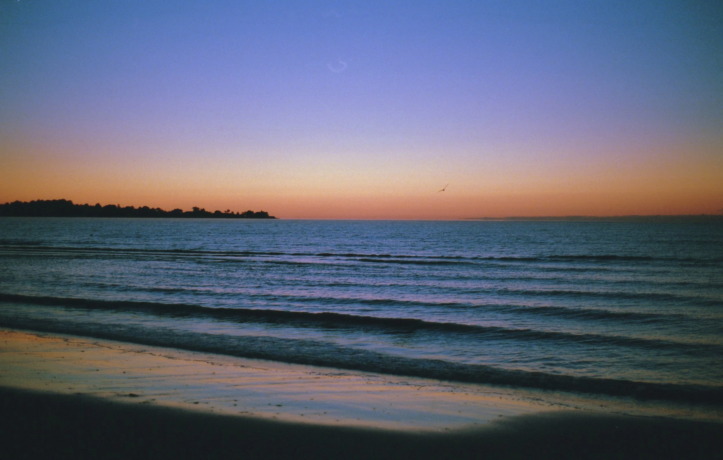 Img_023 copy.jpg